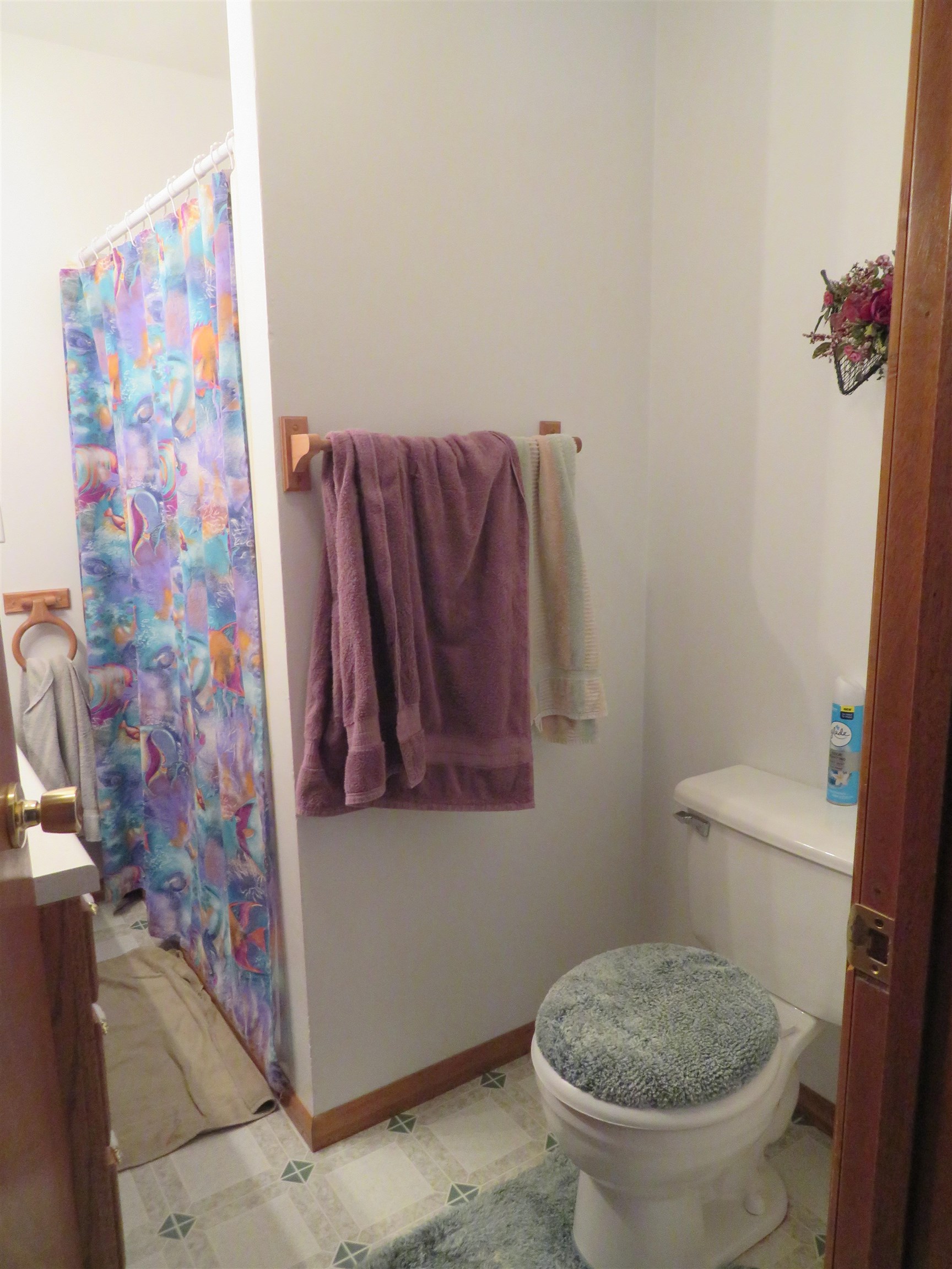 N4443 Crappie Road, Medford, Wisconsin 54451, 4 Bedrooms Bedrooms, ,2 BathroomsBathrooms,Residential,For Sale,N4443 Crappie Road,22501091