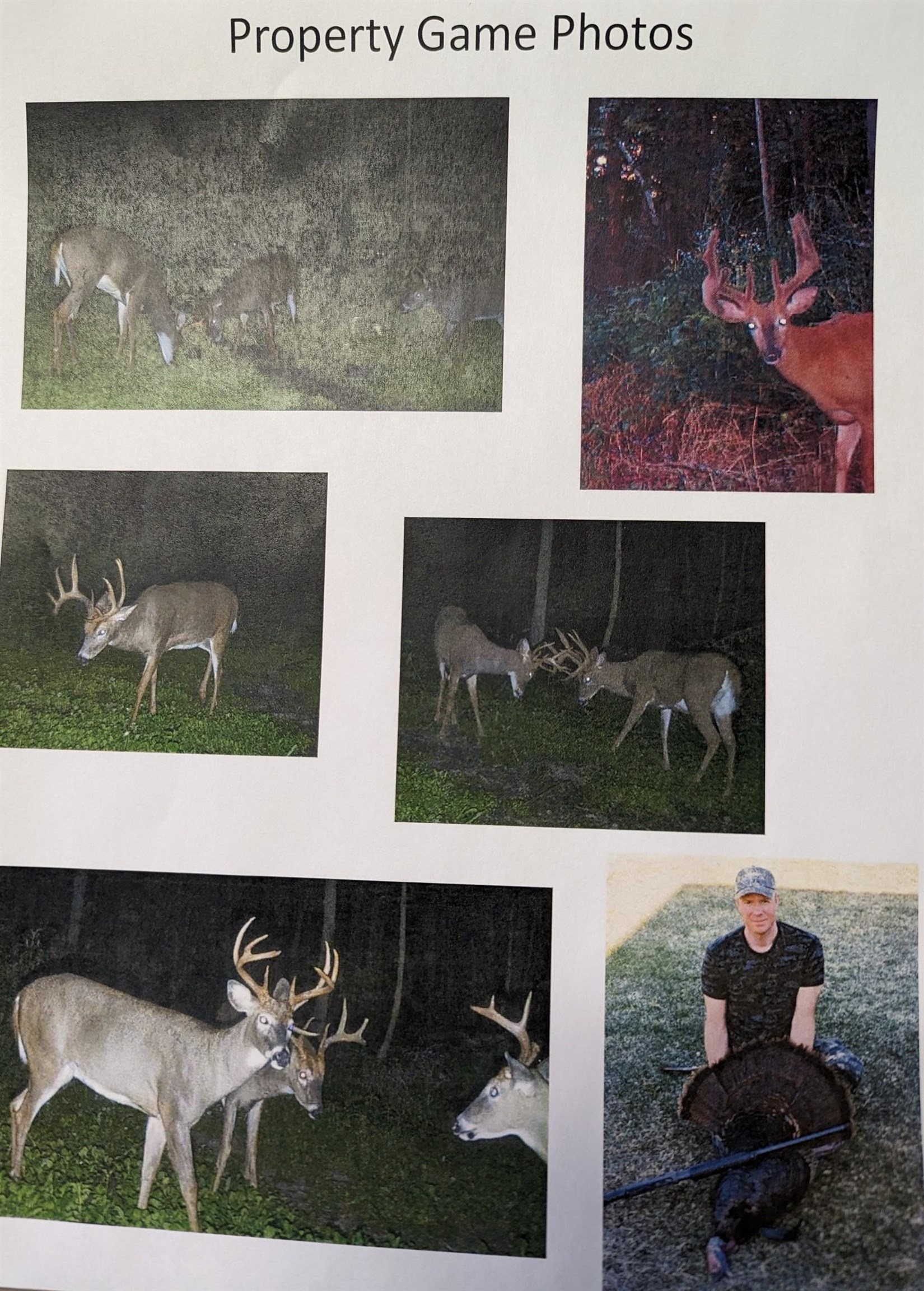 Lot 1 Muncie Road, HILLSBORO, Wisconsin 54665, ,Land,For Sale,Lot 1 Muncie Road,22501134