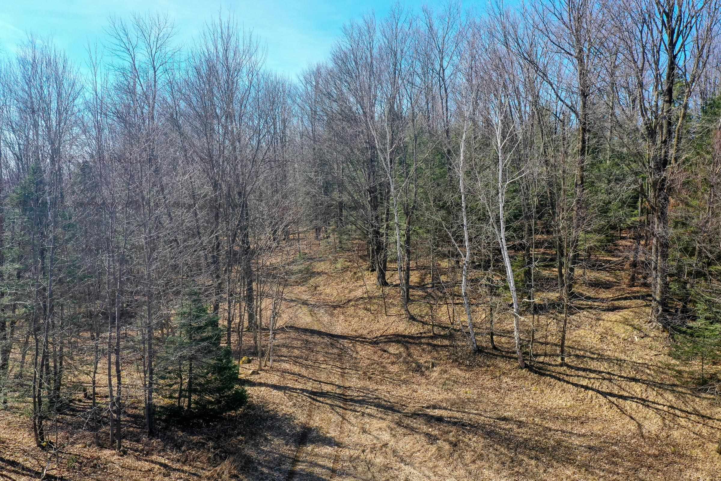 N5317 COUNTY ROAD E, Medford, Wisconsin 54451, ,Land,For Sale,N5317 COUNTY ROAD E,22501141