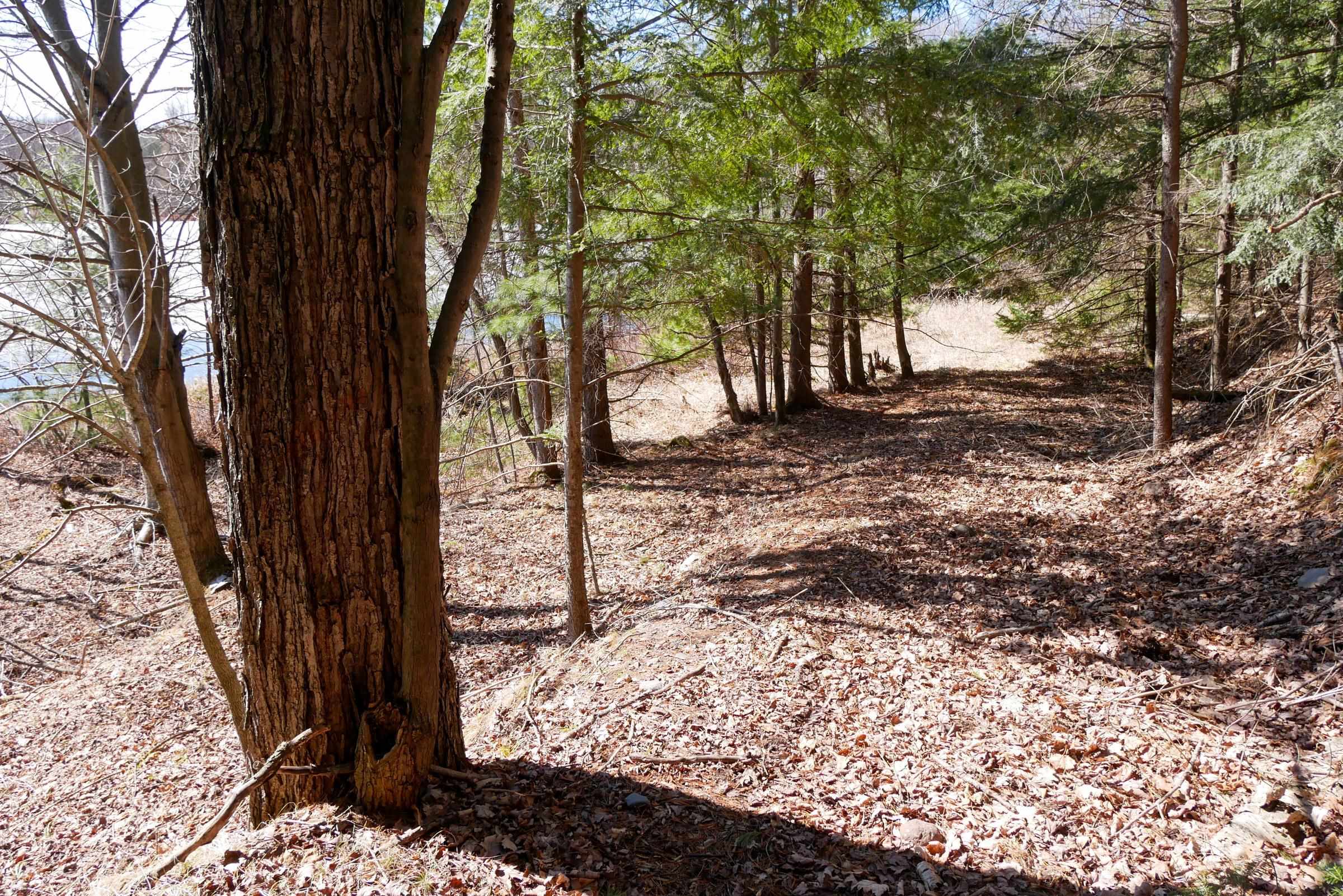 N5317 COUNTY ROAD E, Medford, Wisconsin 54451, ,Land,For Sale,N5317 COUNTY ROAD E,22501141