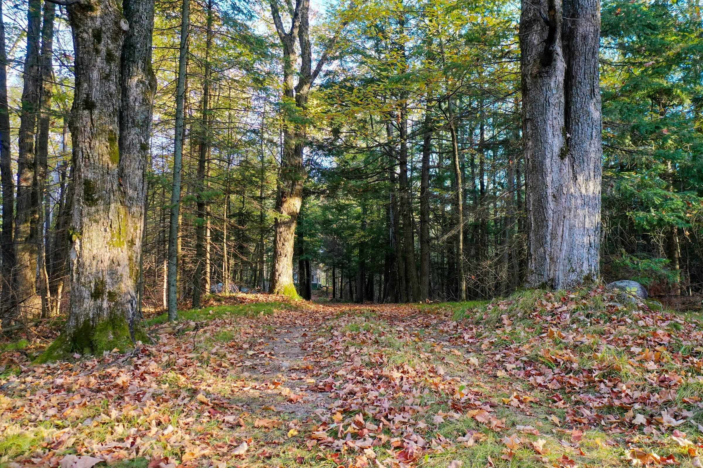 N5317 COUNTY ROAD E, Medford, Wisconsin 54451, ,Land,For Sale,N5317 COUNTY ROAD E,22501141