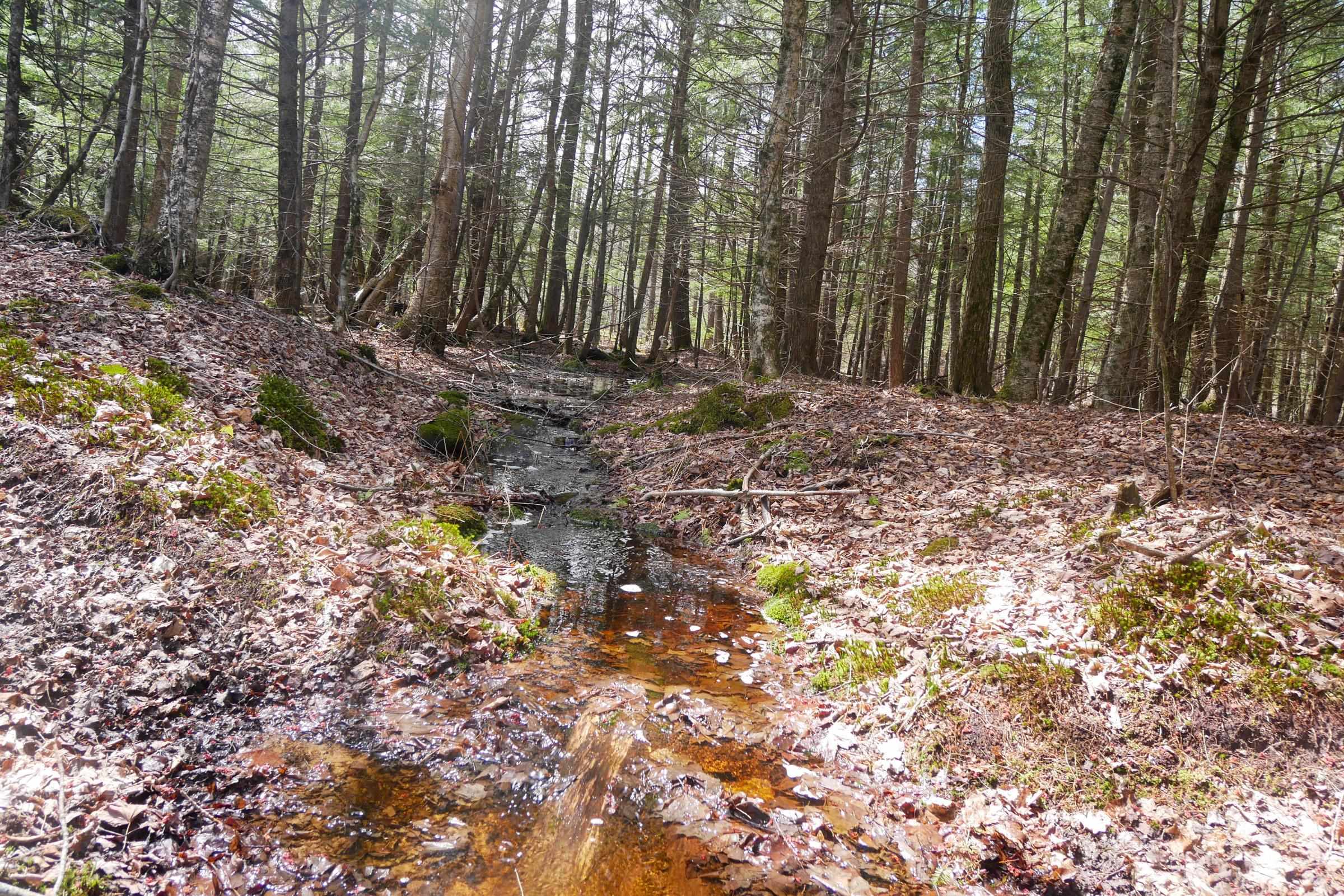 N5317 COUNTY ROAD E, Medford, Wisconsin 54451, ,Land,For Sale,N5317 COUNTY ROAD E,22501141