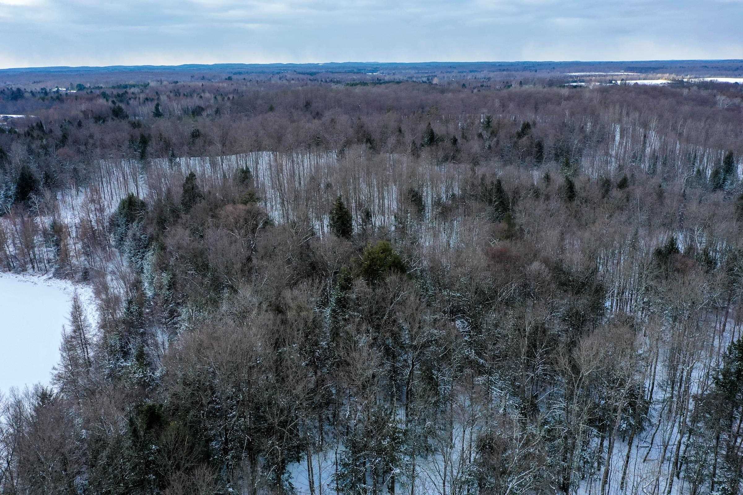 N5317 COUNTY ROAD E, Medford, Wisconsin 54451, ,Land,For Sale,N5317 COUNTY ROAD E,22501141