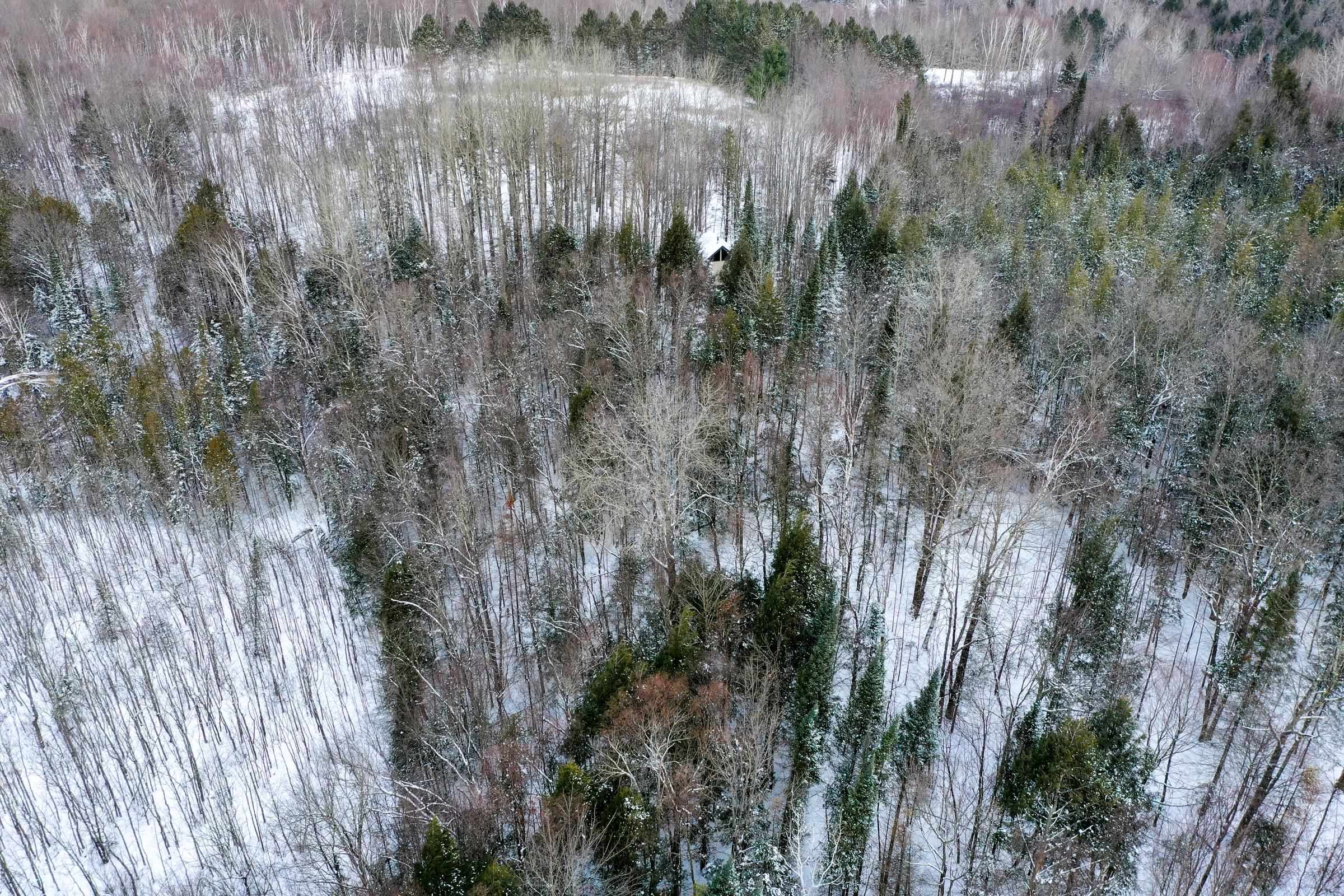 N5317 COUNTY ROAD E, Medford, Wisconsin 54451, ,Land,For Sale,N5317 COUNTY ROAD E,22501141