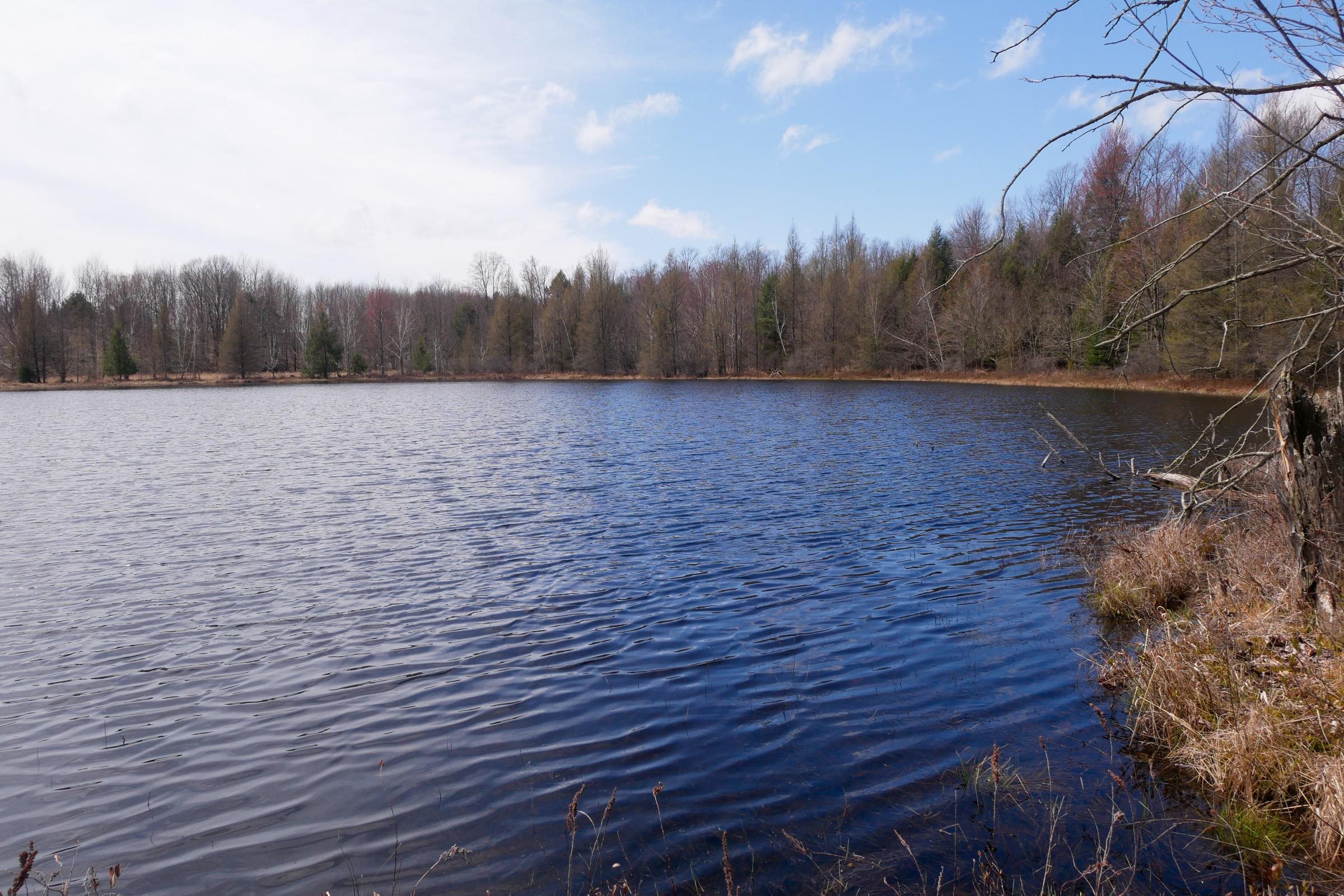 N5317 COUNTY ROAD E, Medford, Wisconsin 54451, ,Land,For Sale,N5317 COUNTY ROAD E,22501141