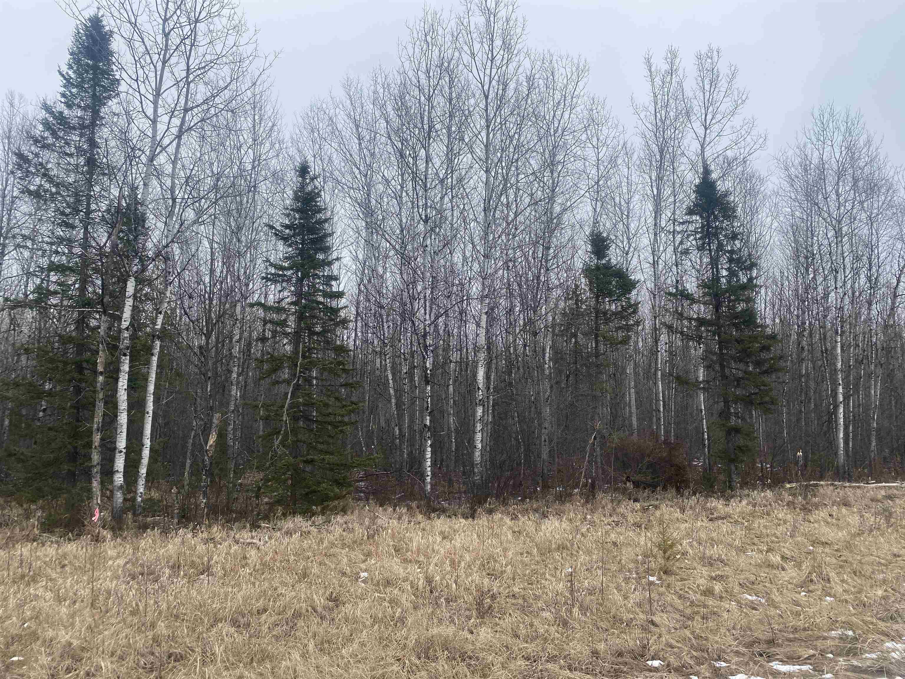ON COUNTY ROAD E, Tomahawk, Wisconsin 54487, ,Land,For Sale,ON COUNTY ROAD E,22501165