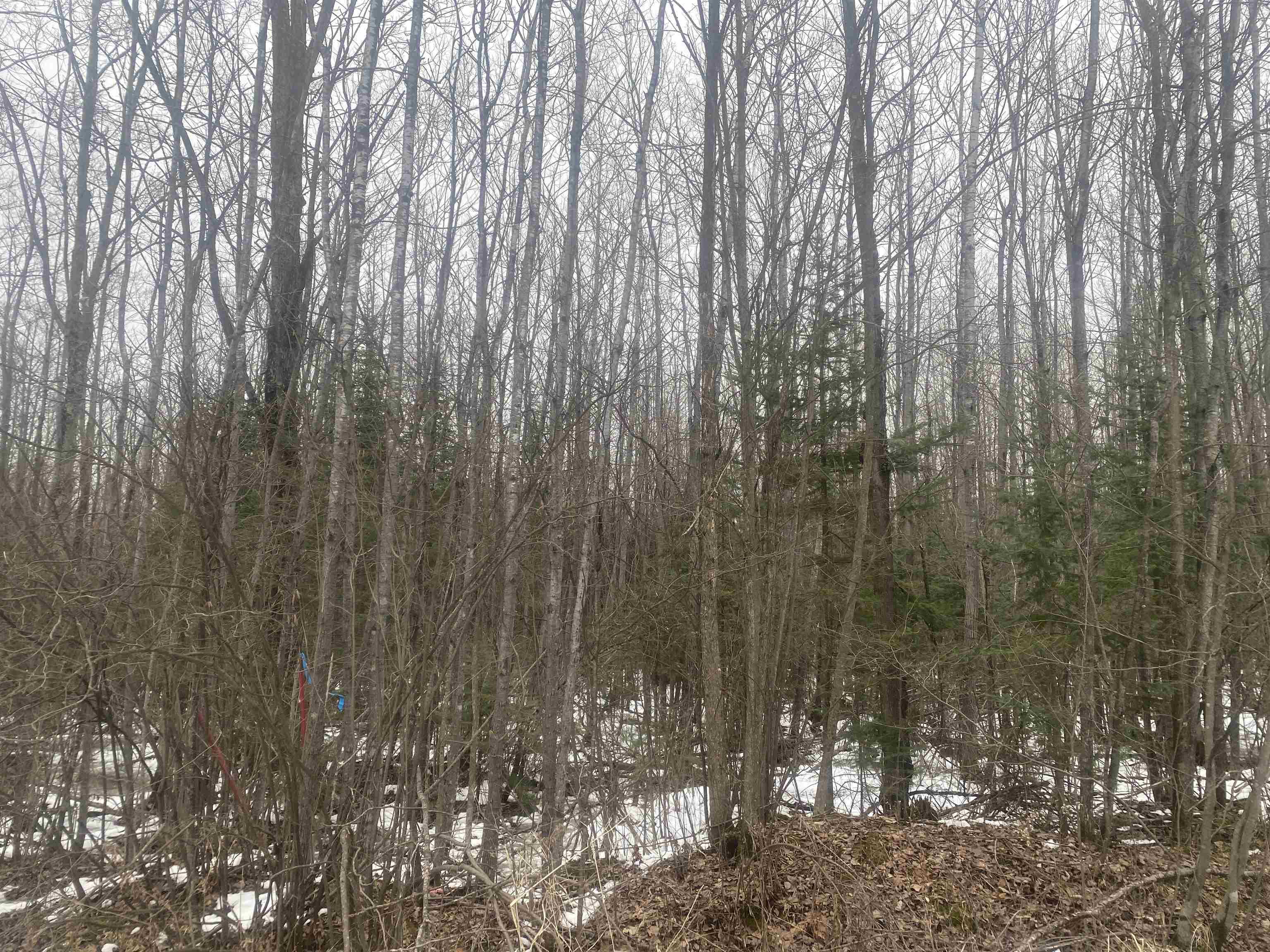 NEAR SPRING BROOK AVENUE, Merrill, Wisconsin 54452, ,Land,For Sale,NEAR SPRING BROOK AVENUE,22501167