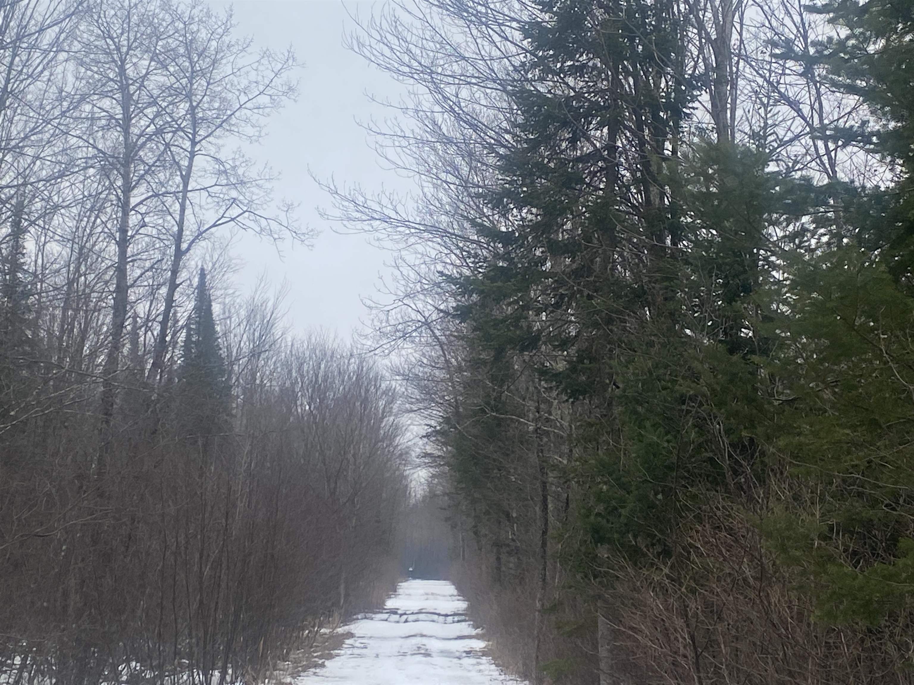 NEAR SPRING BROOK AVENUE, Merrill, Wisconsin 54452, ,Land,For Sale,NEAR SPRING BROOK AVENUE,22501167
