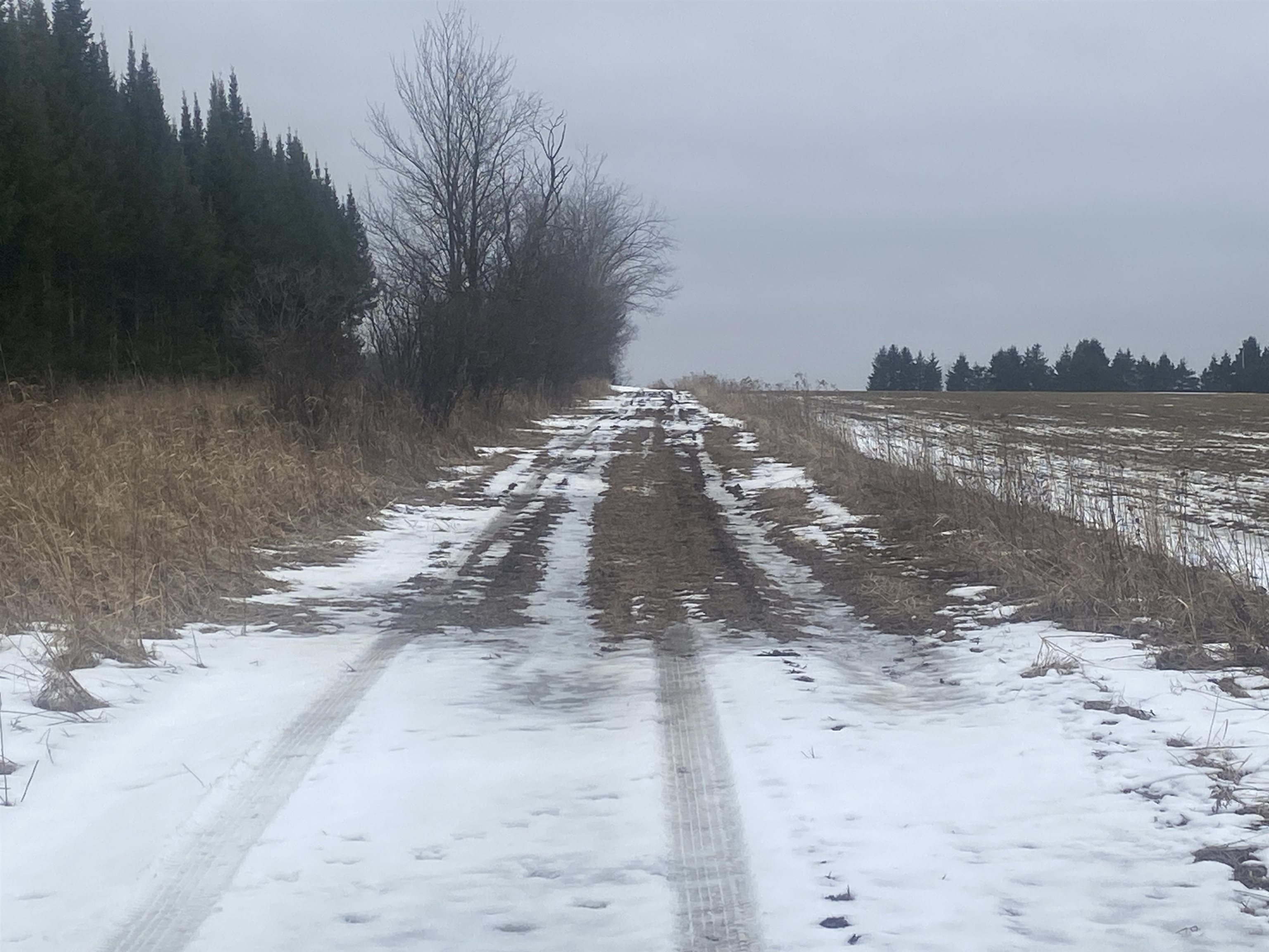 NEAR SPRING BROOK AVENUE, Merrill, Wisconsin 54452, ,Land,For Sale,NEAR SPRING BROOK AVENUE,22501167