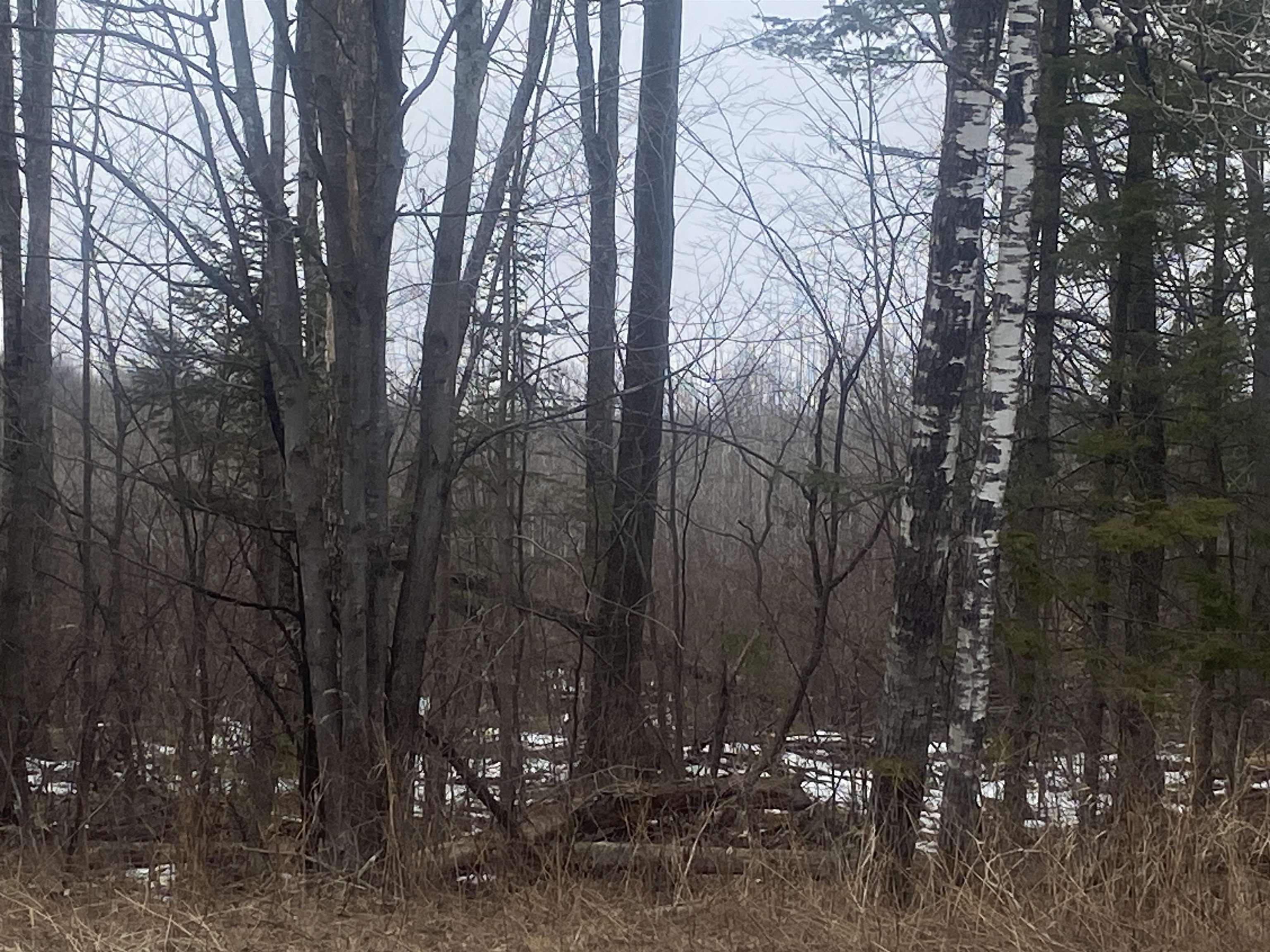 ON STATE HIGHWAY 64, Merrill, Wisconsin 54452, ,Land,For Sale,ON STATE HIGHWAY 64,22501168