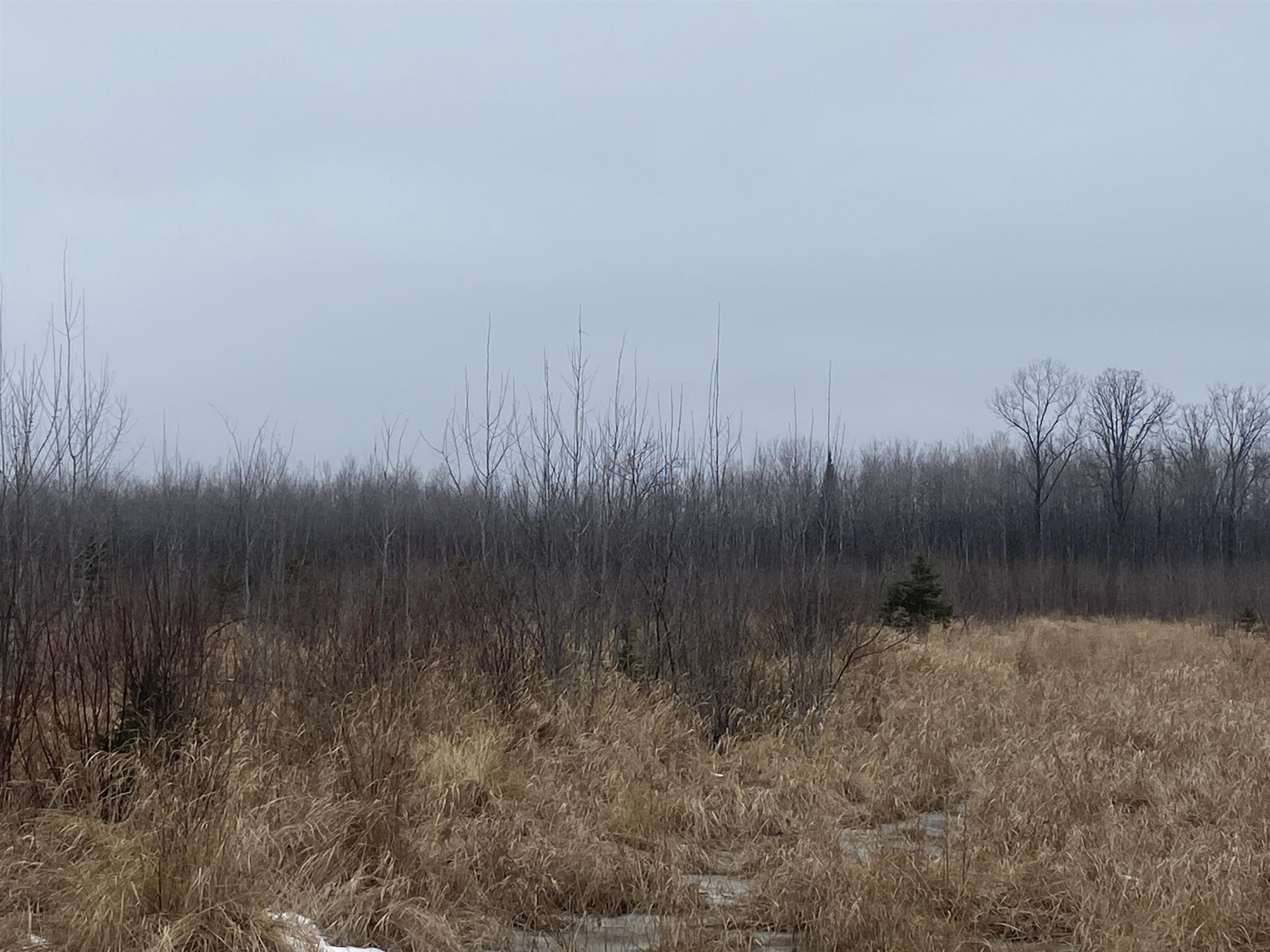 ON STATE HIGHWAY 64, Merrill, Wisconsin 54452, ,Land,For Sale,ON STATE HIGHWAY 64,22501168