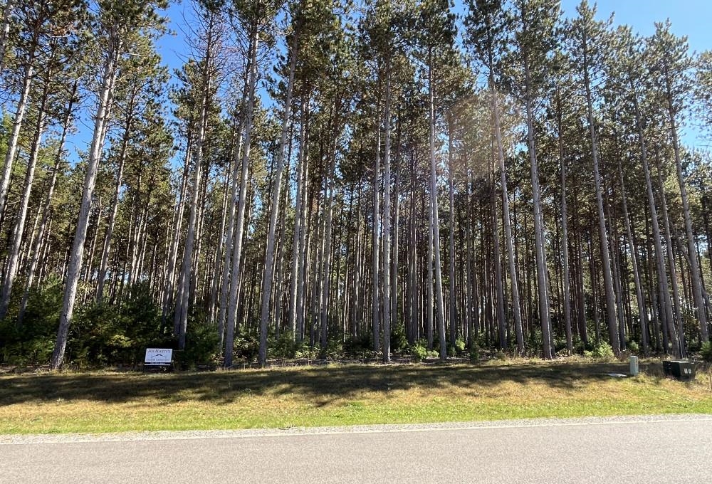 Lot 8 TWO SISTERS COURT, Stevens Point, Wisconsin 54467, ,Land,For Sale,Lot 8 TWO SISTERS COURT,22501177