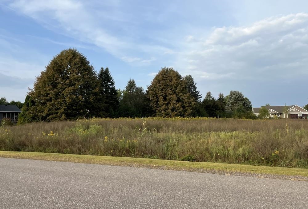 3775 KOHLER DRIVE, Plover, Wisconsin 54467, ,Land,For Sale,3775 KOHLER DRIVE,22501181