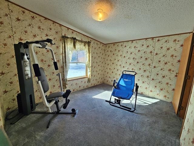 2261 COUNTY ROAD G, Nekoosa, Wisconsin 54457, 3 Bedrooms Bedrooms, ,2 BathroomsBathrooms,Residential,For Sale,2261 COUNTY ROAD G,22501193