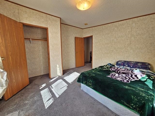 2261 COUNTY ROAD G, Nekoosa, Wisconsin 54457, 3 Bedrooms Bedrooms, ,2 BathroomsBathrooms,Residential,For Sale,2261 COUNTY ROAD G,22501193