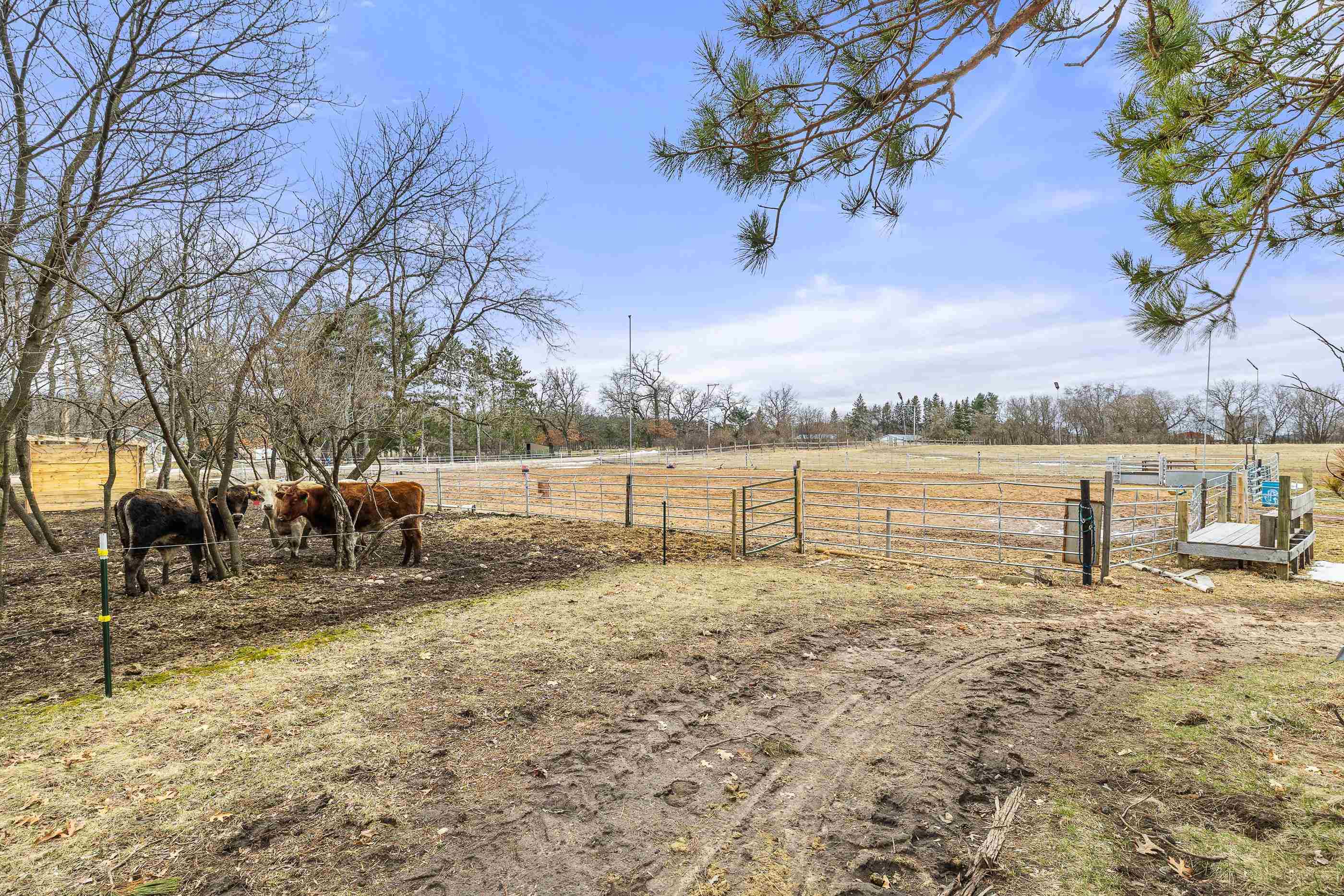 10670 COUNTY ROAD D, Almond, Wisconsin 54909, 3 Bedrooms Bedrooms, ,2 BathroomsBathrooms,Residential,For Sale,10670 COUNTY ROAD D,22501194