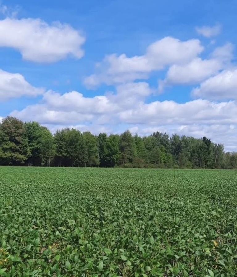 77.09 Acres COUNTY ROAD G, Wausau, Wisconsin 54403, ,Land,For Sale,77.09 Acres COUNTY ROAD G,22501201