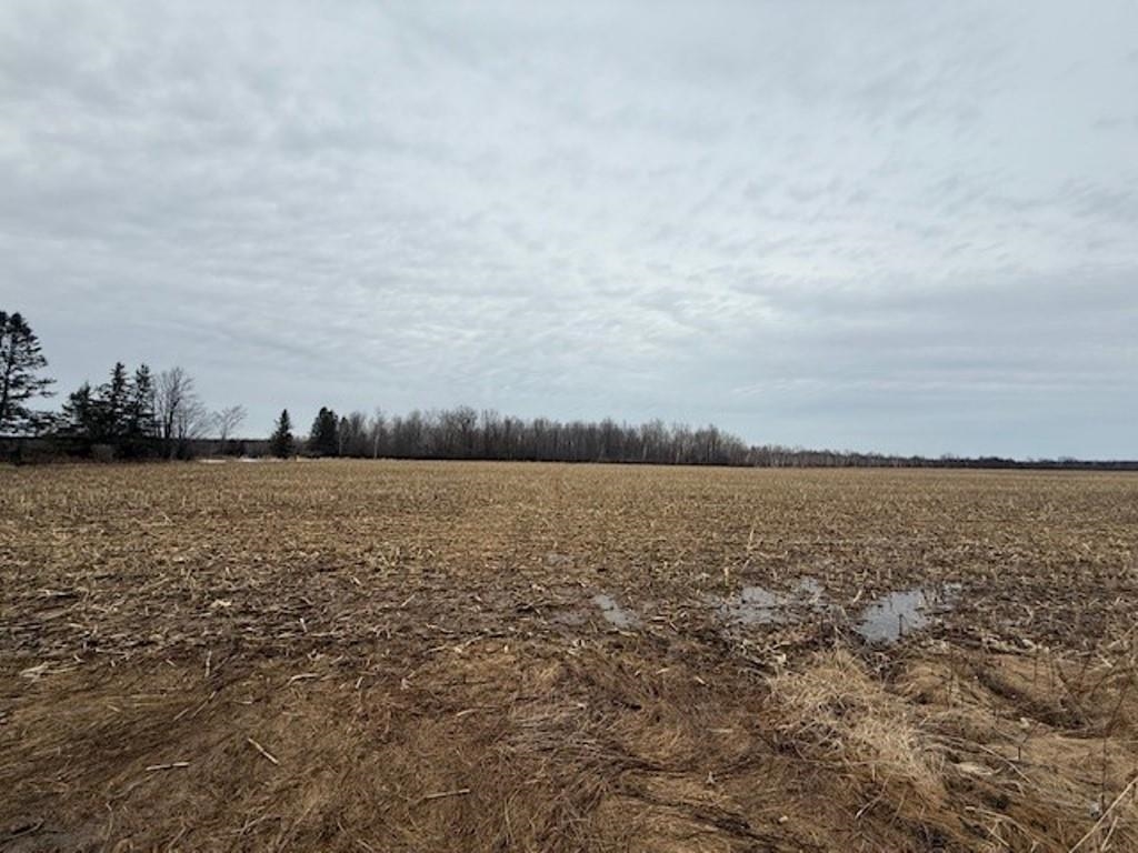 77.09 Acres COUNTY ROAD G, Wausau, Wisconsin 54403, ,Land,For Sale,77.09 Acres COUNTY ROAD G,22501201
