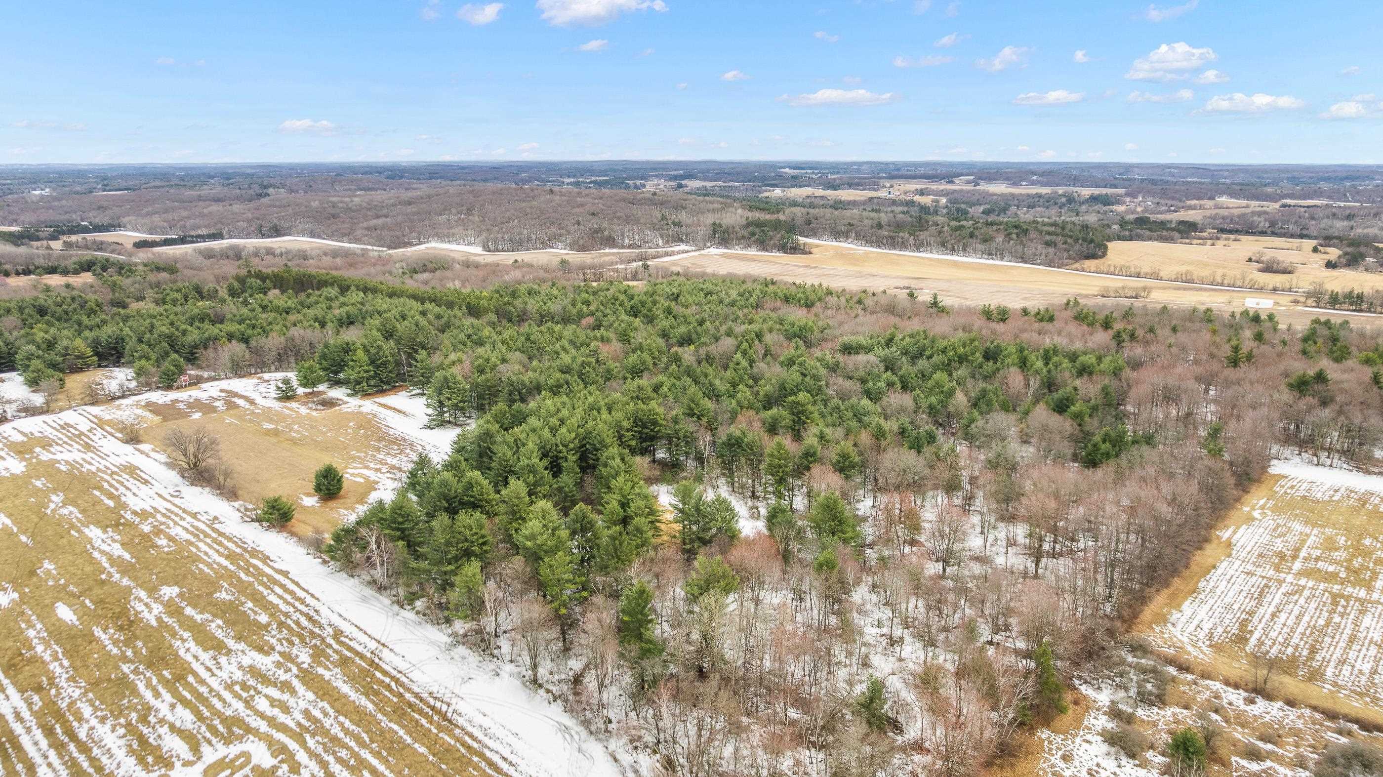 40 Acres NO NAME ROAD, Iola, Wisconsin 54945, ,Land,For Sale,40 Acres NO NAME ROAD,22501208