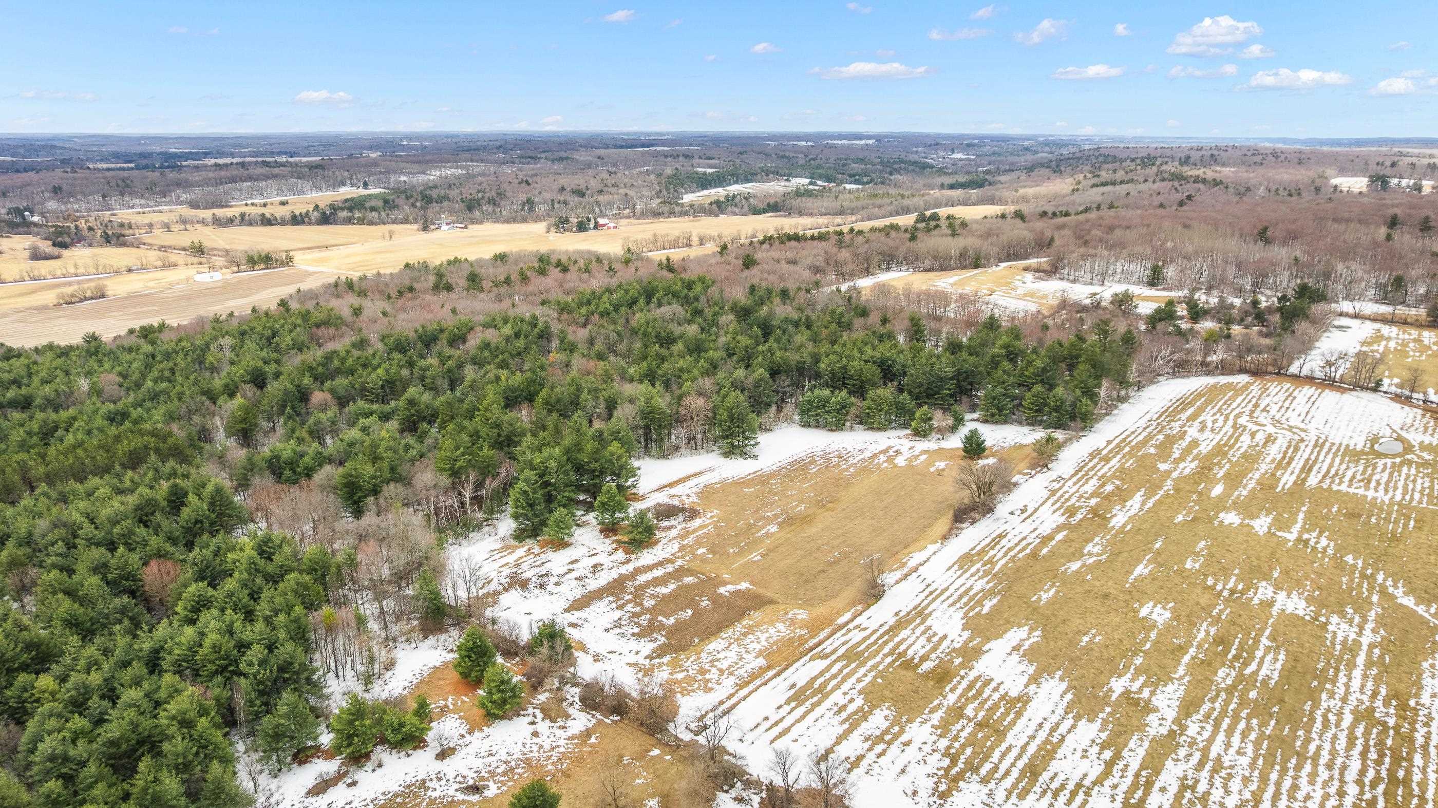 40 Acres NO NAME ROAD, Iola, Wisconsin 54945, ,Land,For Sale,40 Acres NO NAME ROAD,22501208