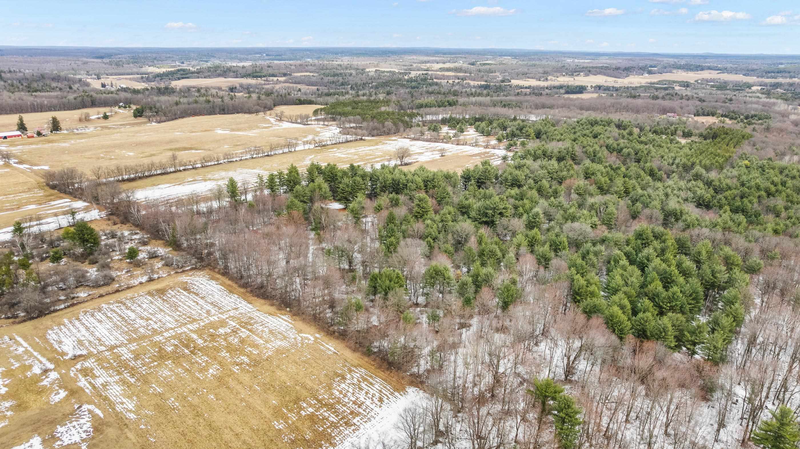 40 Acres NO NAME ROAD, Iola, Wisconsin 54945, ,Land,For Sale,40 Acres NO NAME ROAD,22501208