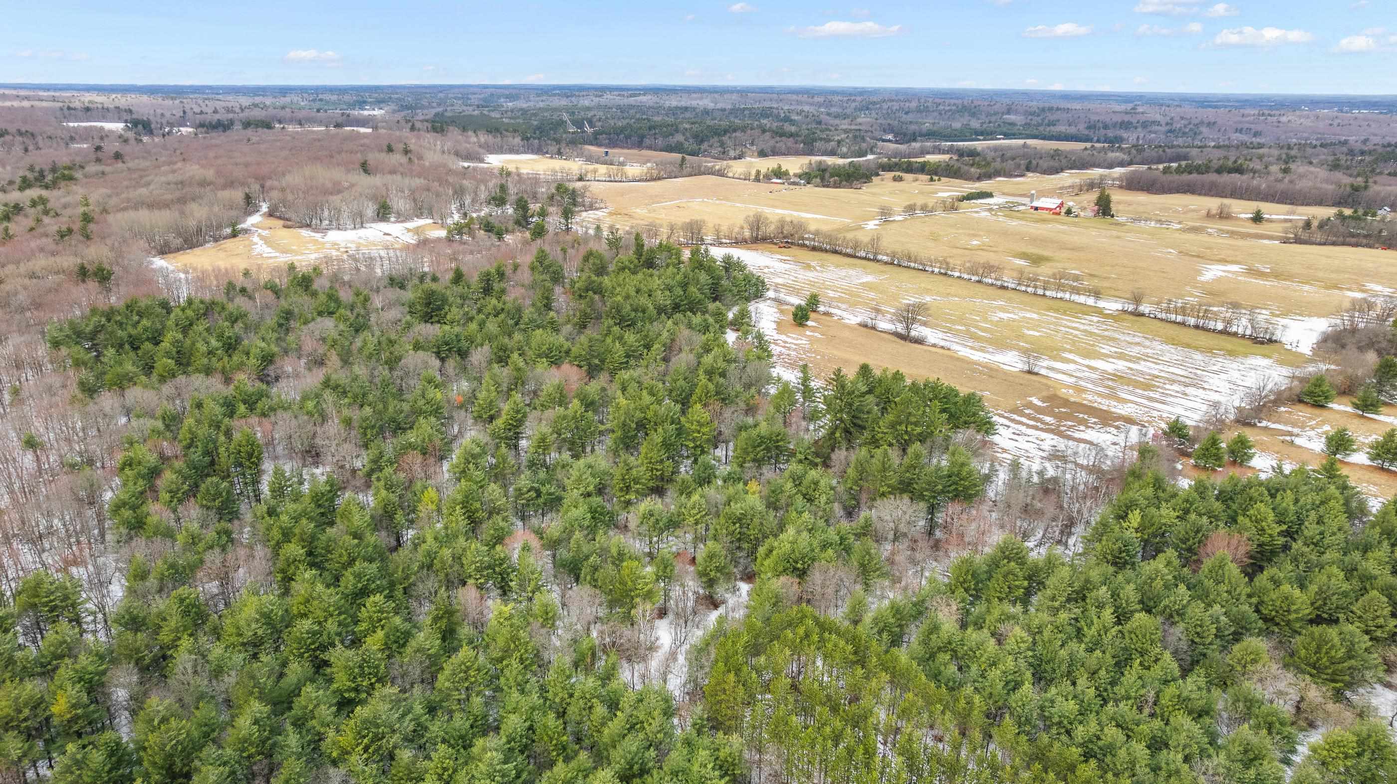 40 Acres NO NAME ROAD, Iola, Wisconsin 54945, ,Land,For Sale,40 Acres NO NAME ROAD,22501208