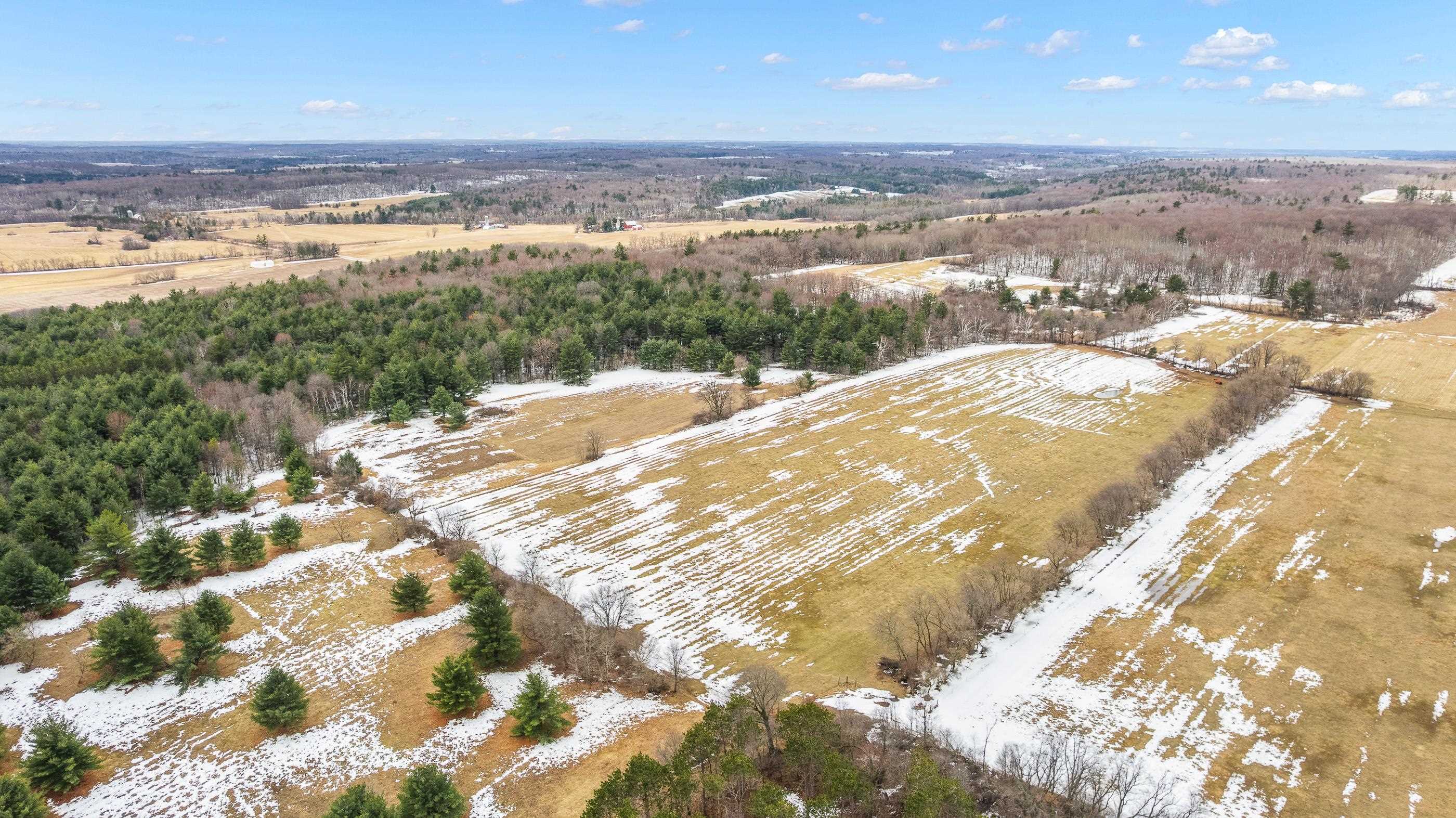 40 Acres NO NAME ROAD, Iola, Wisconsin 54945, ,Land,For Sale,40 Acres NO NAME ROAD,22501208