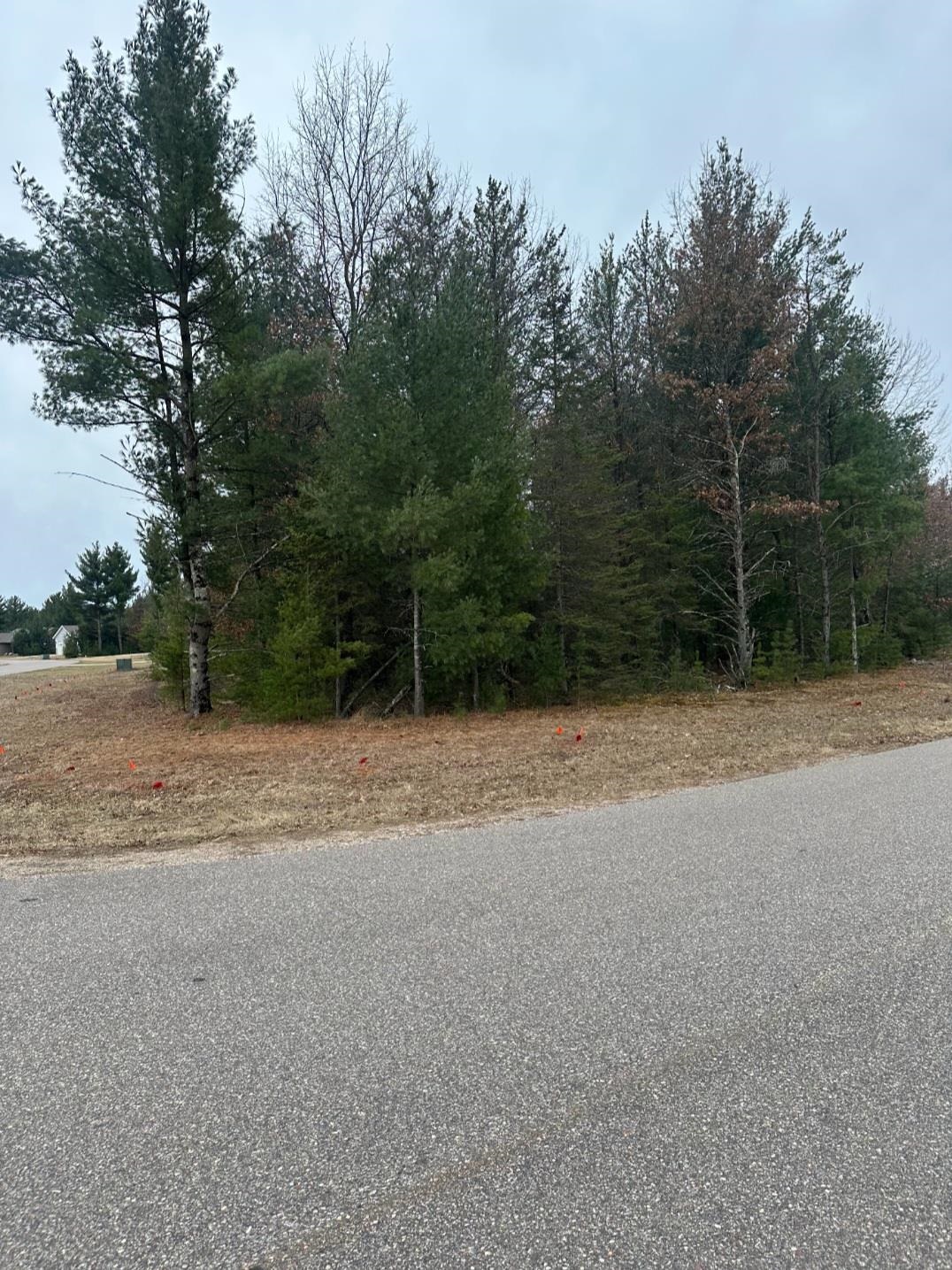 0705113 GRAND PINES DRIVE, Wisconsin Rapids, Wisconsin 54494, 3 Bedrooms Bedrooms, ,2 BathroomsBathrooms,Residential,For Sale,0705113 GRAND PINES DRIVE,22501214