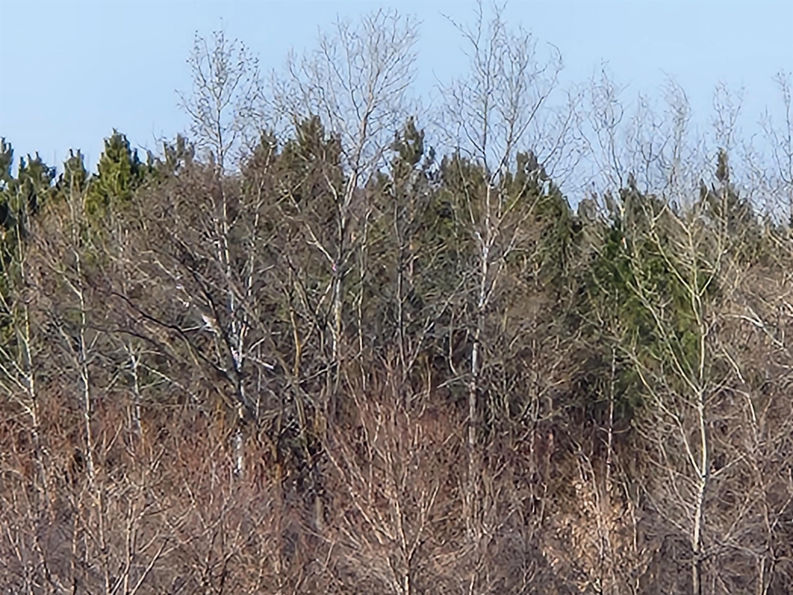 292ND STREET, WILSON, Wisconsin 54027, ,Land,For Sale,292ND STREET,22501234