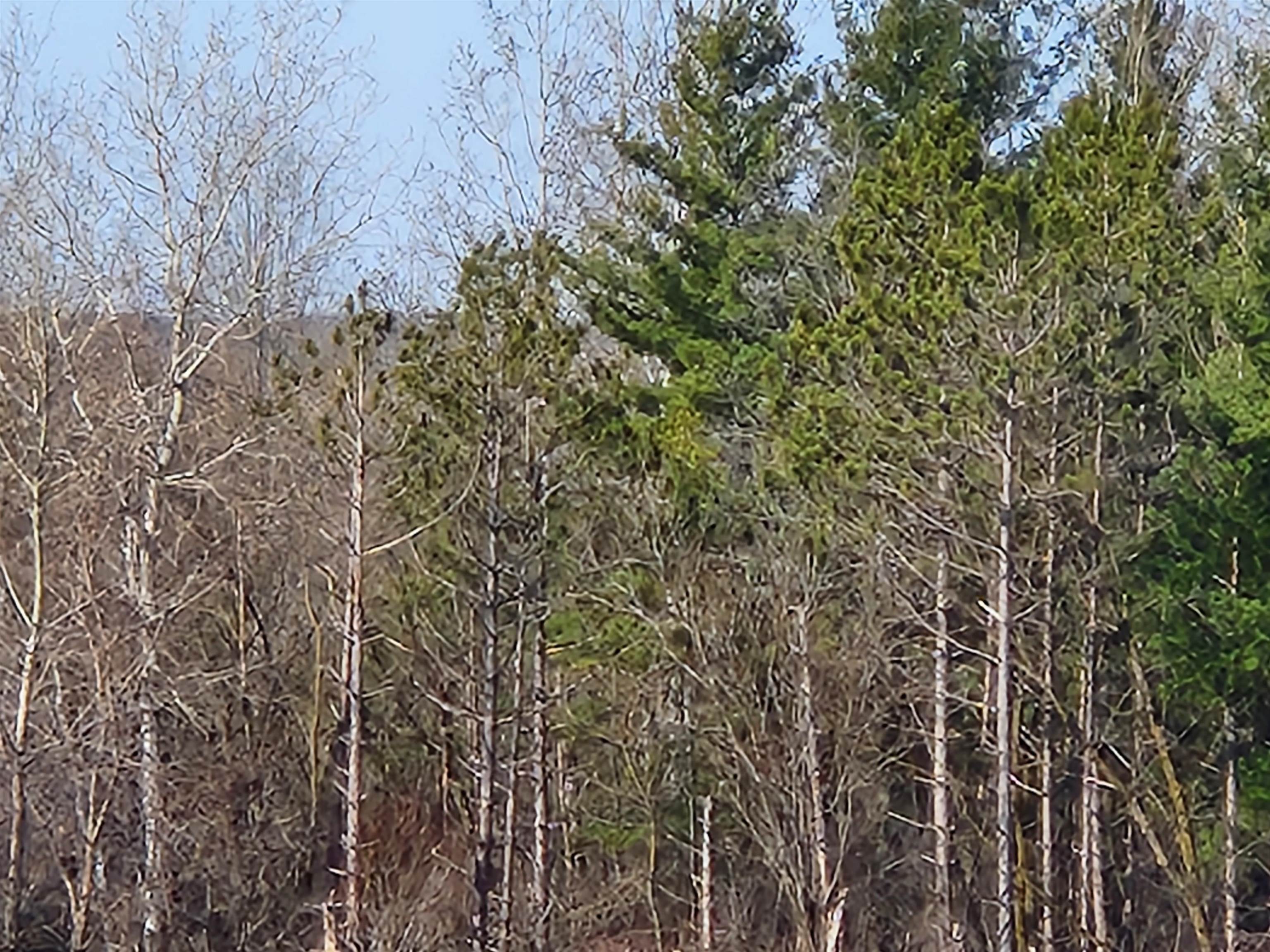 292ND STREET, WILSON, Wisconsin 54027, ,Land,For Sale,292ND STREET,22501234