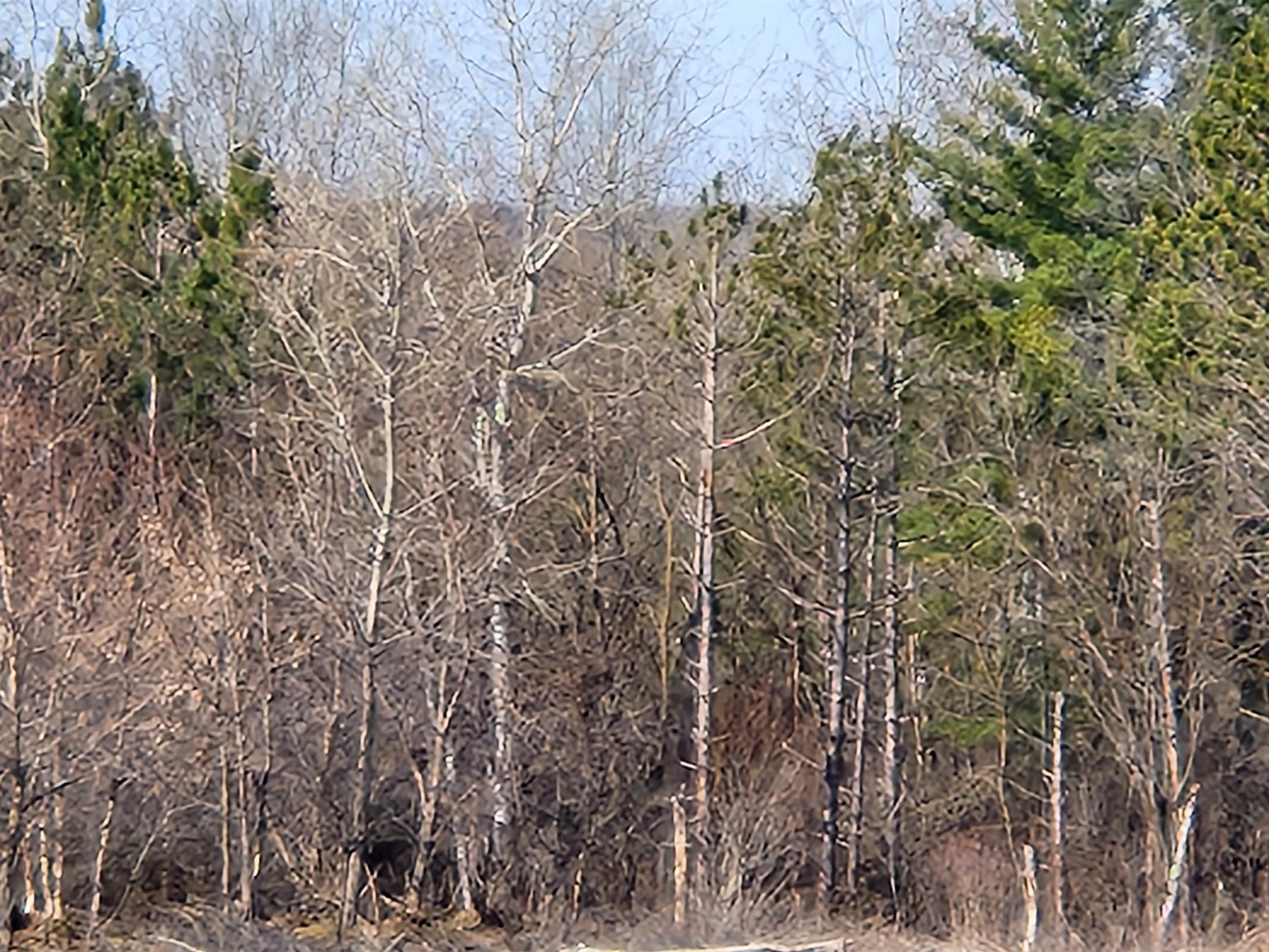 292ND STREET, WILSON, Wisconsin 54027, ,Land,For Sale,292ND STREET,22501234