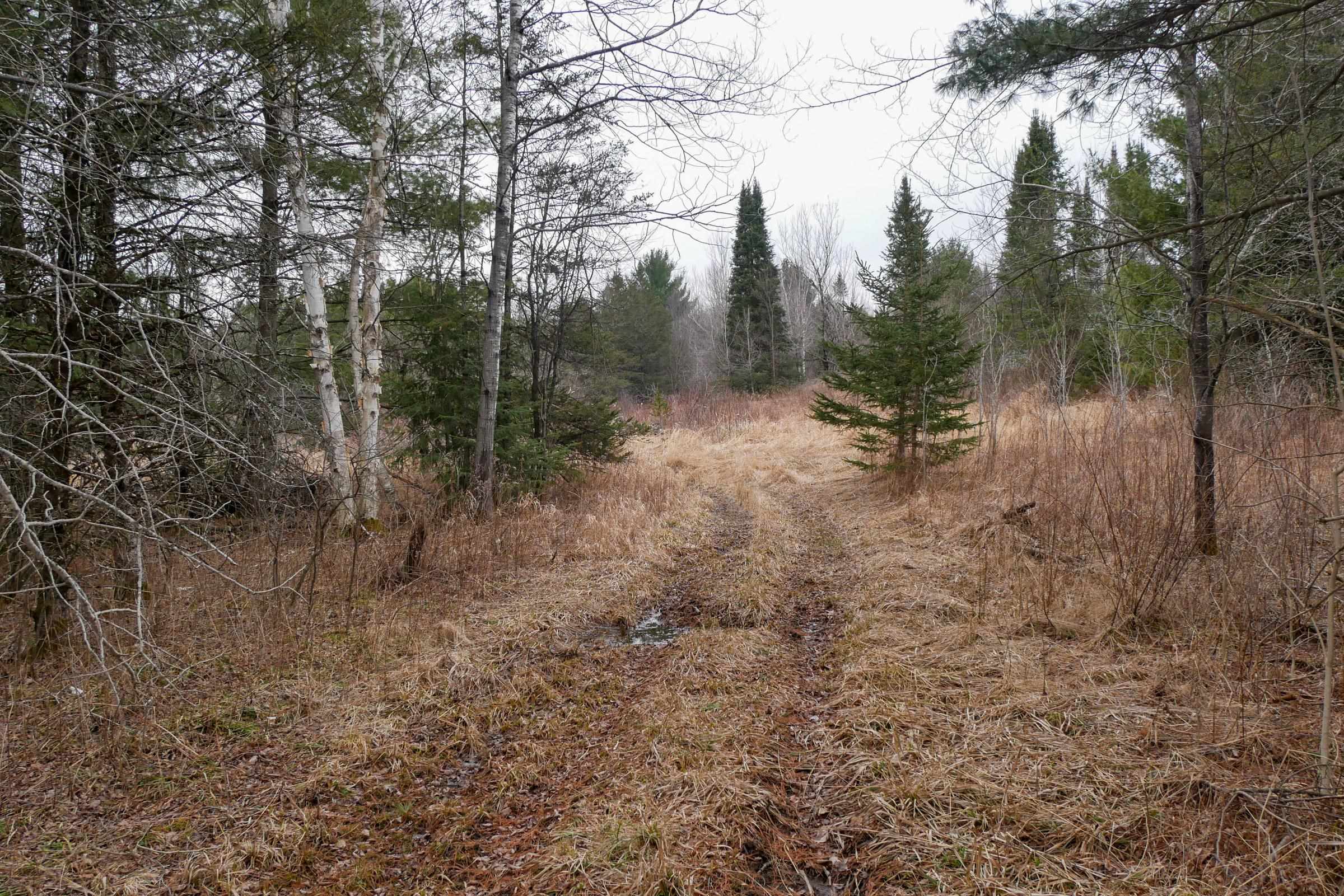N8470 COUNTY ROAD E, Westboro, Wisconsin 54490, 1 Bedroom Bedrooms, ,Residential,For Sale,N8470 COUNTY ROAD E,22501317