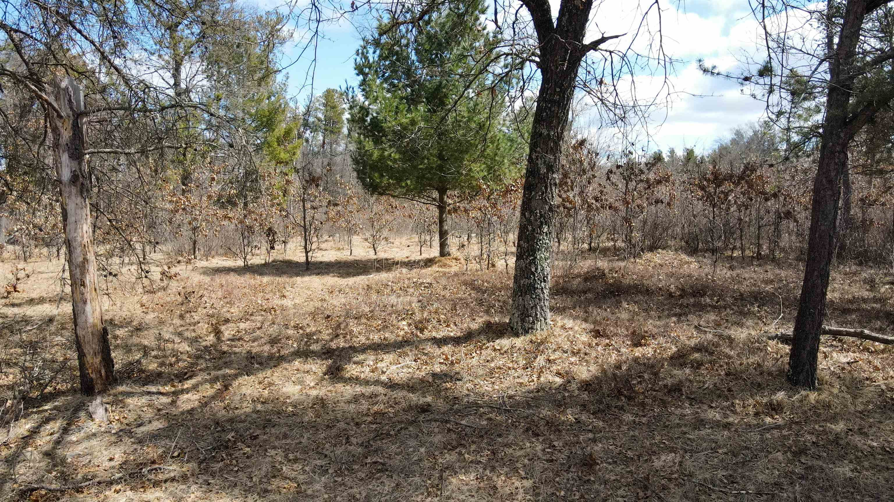 264 15TH AVENUE, Nekoosa, Wisconsin 54457, ,Land,For Sale,264 15TH AVENUE,22501322