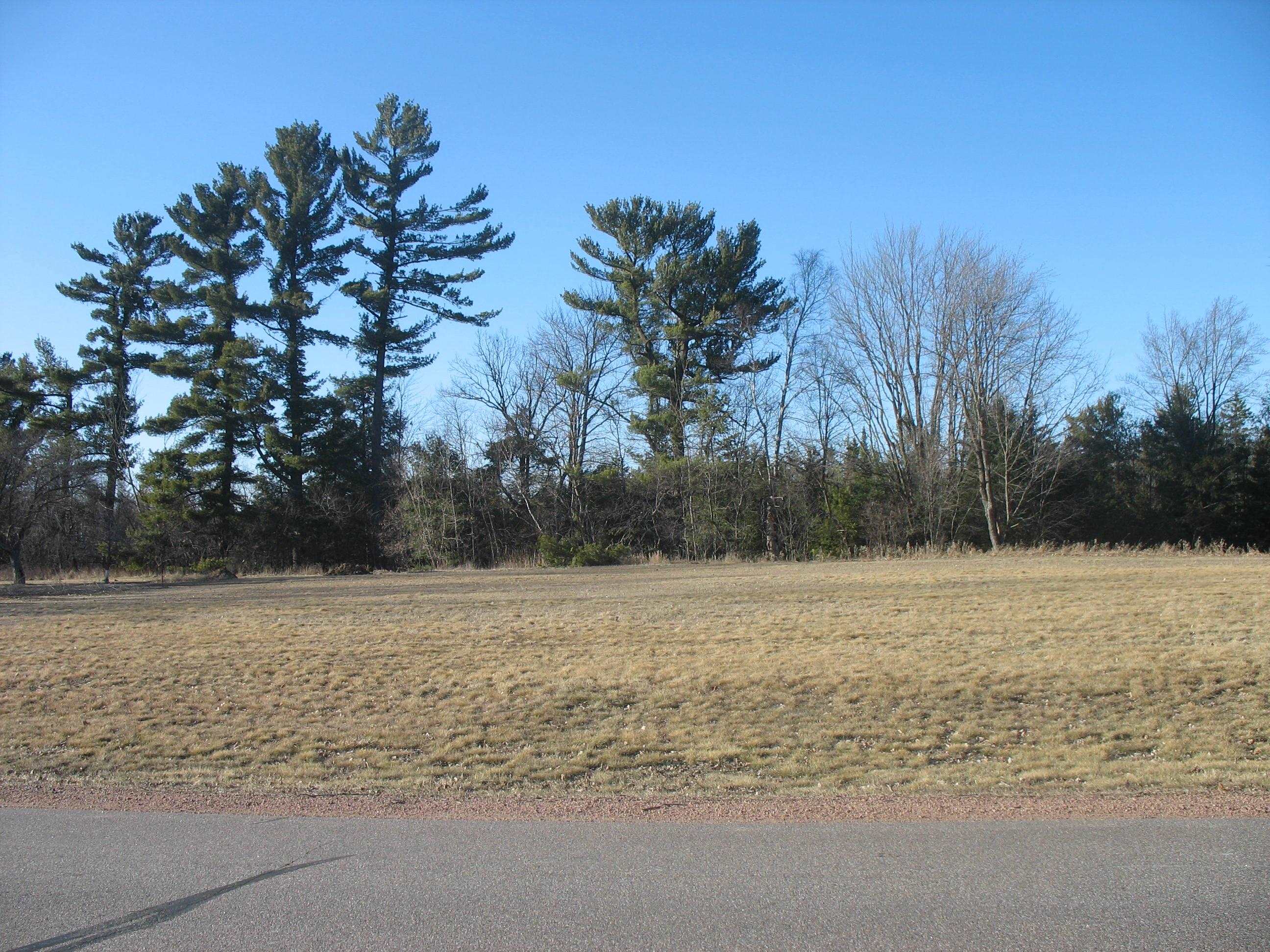 12.09 Acres CALLON AVENUE, Weston, Wisconsin 54476, ,Land,For Sale,12.09 Acres CALLON AVENUE,22501340