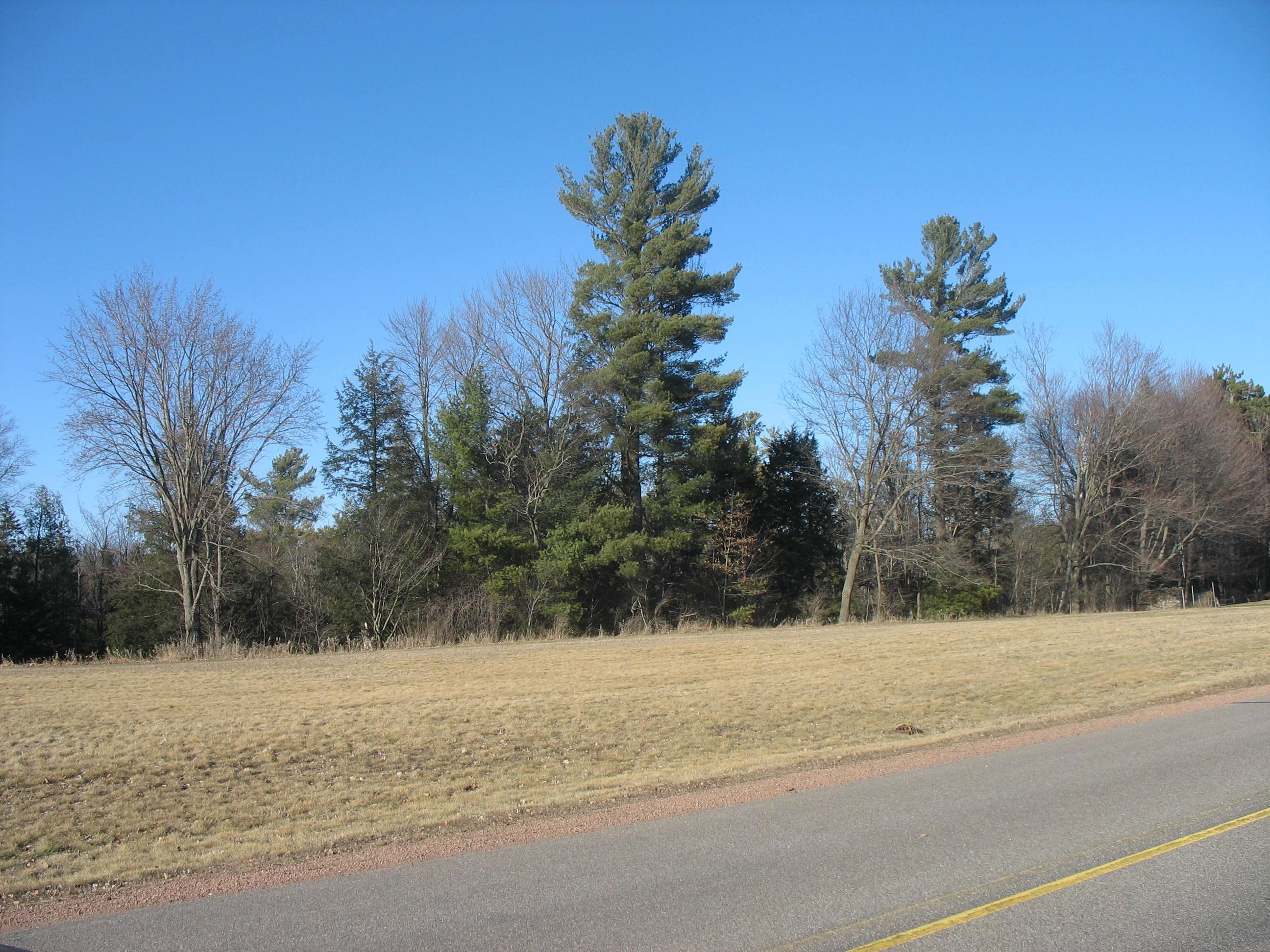 12.09 Acres CALLON AVENUE, Weston, Wisconsin 54476, ,Land,For Sale,12.09 Acres CALLON AVENUE,22501340