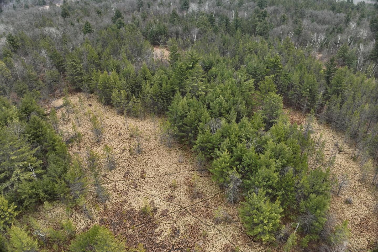 120 acres MCKENNA ROAD, Warrens, Wisconsin 54666, ,Land,For Sale,120 acres MCKENNA ROAD,22501342