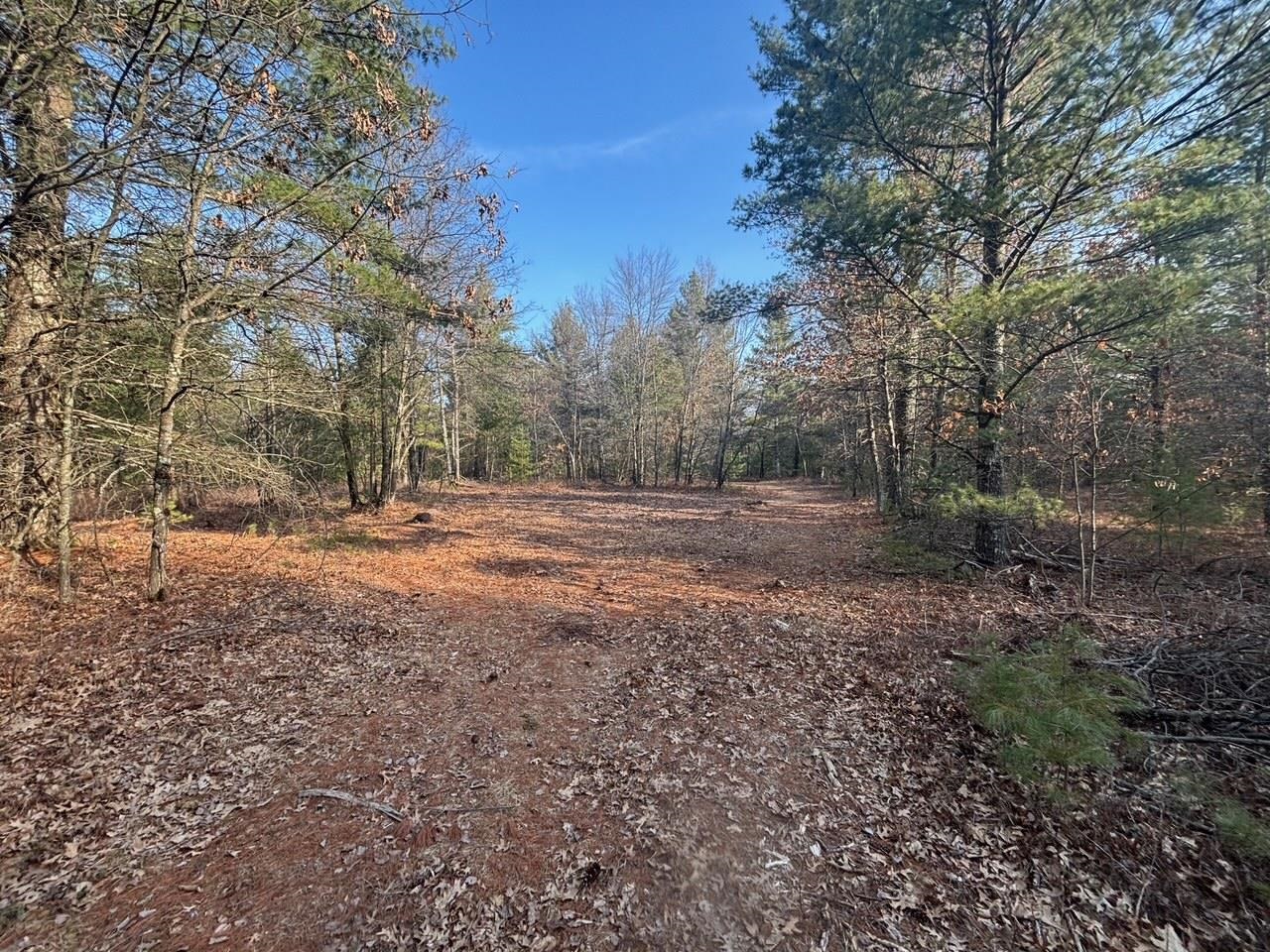 120 acres MCKENNA ROAD, Warrens, Wisconsin 54666, ,Land,For Sale,120 acres MCKENNA ROAD,22501342