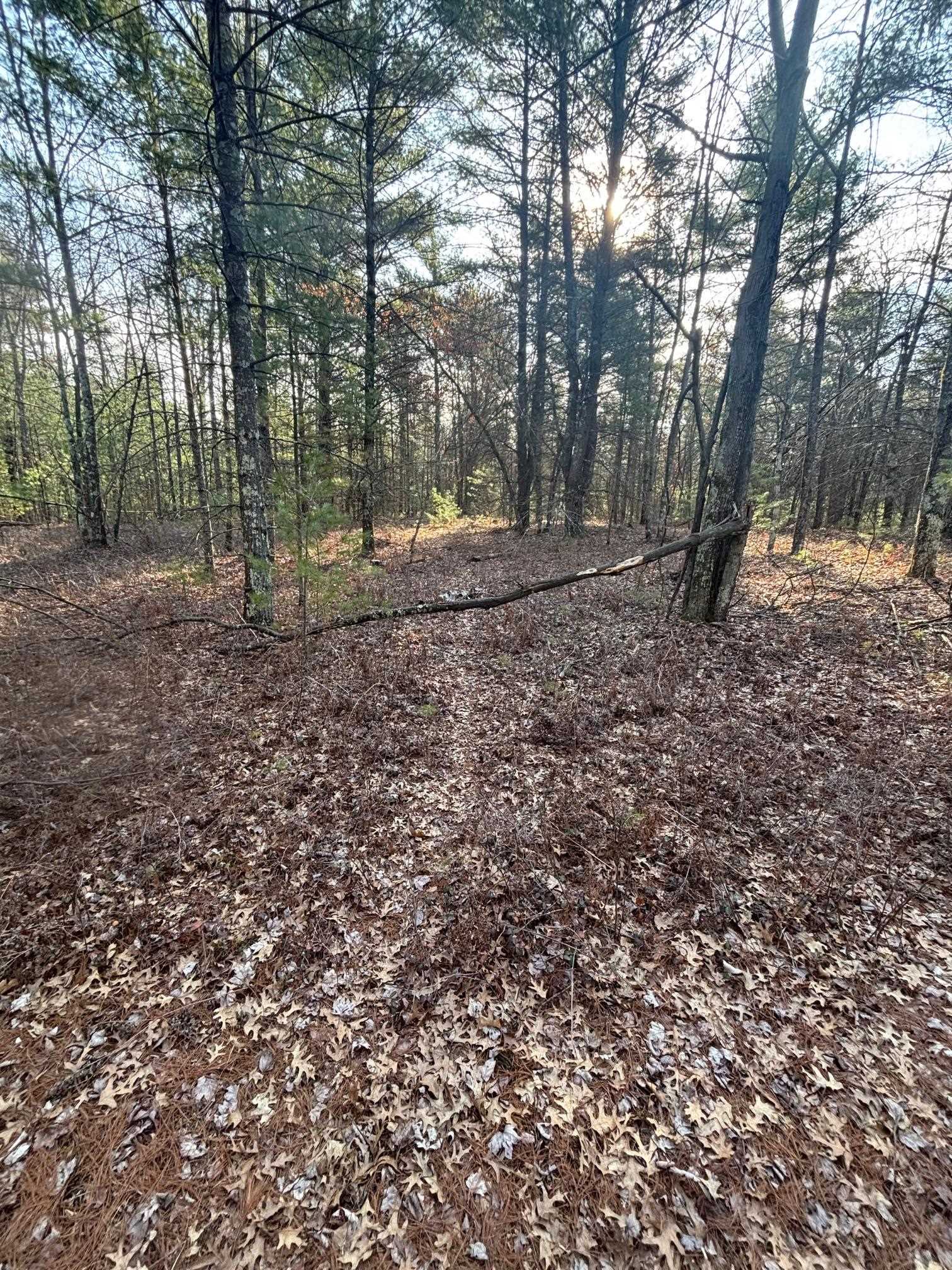 120 acres MCKENNA ROAD, Warrens, Wisconsin 54666, ,Land,For Sale,120 acres MCKENNA ROAD,22501342