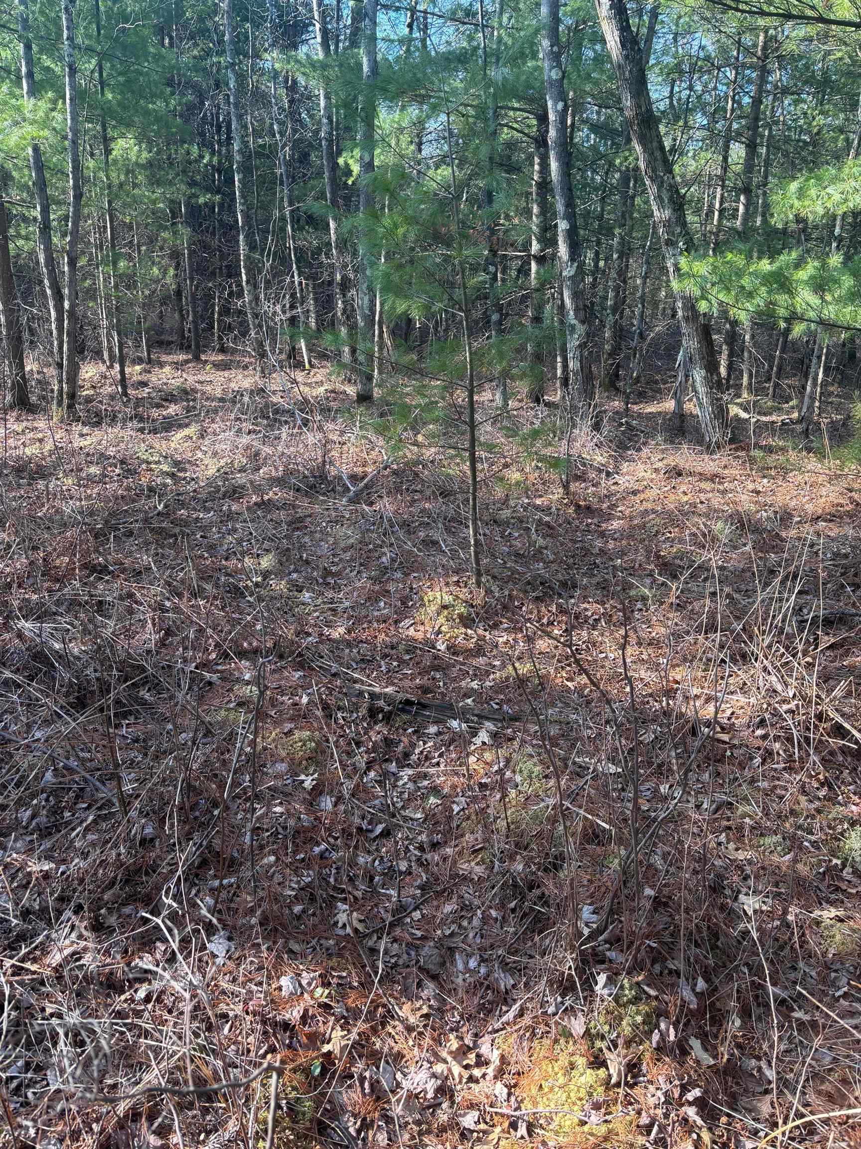 120 acres MCKENNA ROAD, Warrens, Wisconsin 54666, ,Land,For Sale,120 acres MCKENNA ROAD,22501342
