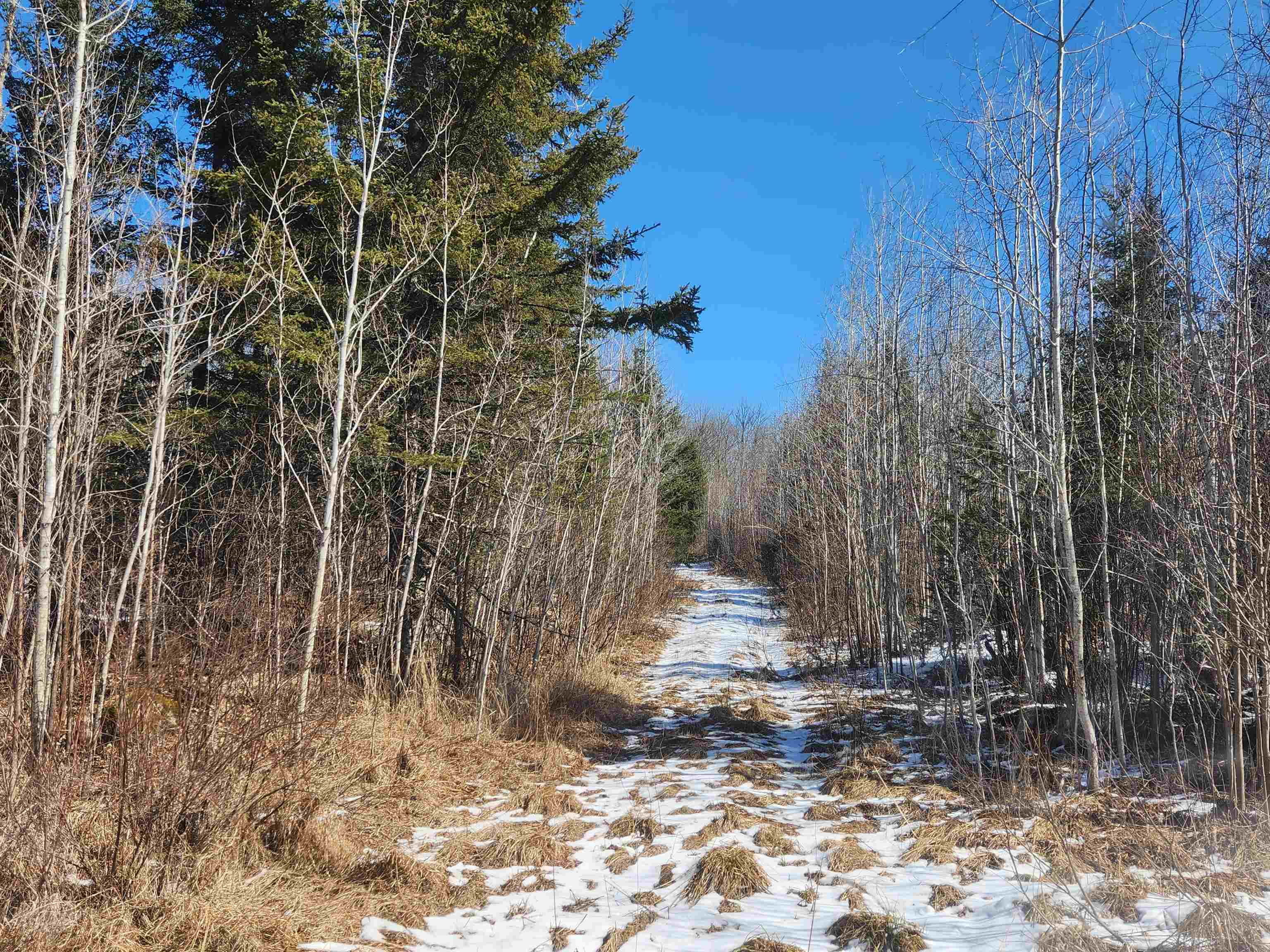 17378 RIGHT OF WAY ROAD, Glidden, Wisconsin 54527, ,Land,For Sale,17378 RIGHT OF WAY ROAD,22501374