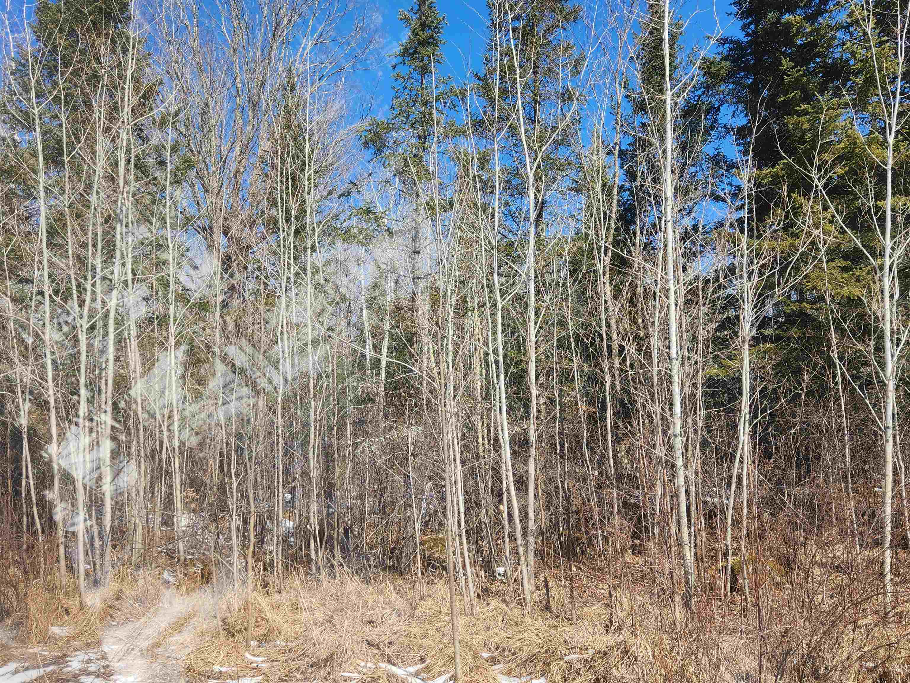17378 RIGHT OF WAY ROAD, Glidden, Wisconsin 54527, ,Land,For Sale,17378 RIGHT OF WAY ROAD,22501374