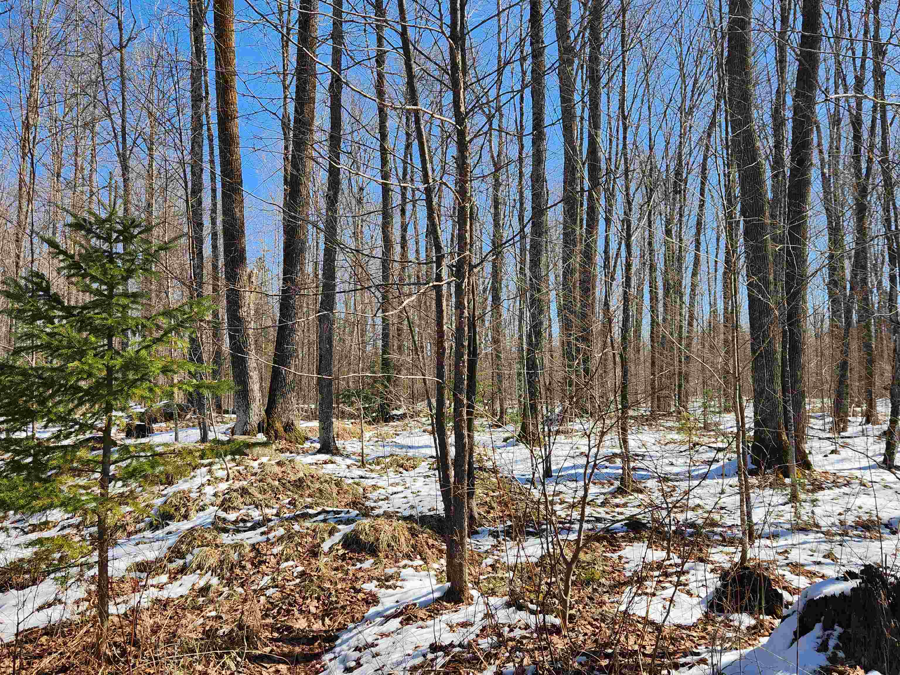 17378 RIGHT OF WAY ROAD, Glidden, Wisconsin 54527, ,Land,For Sale,17378 RIGHT OF WAY ROAD,22501374