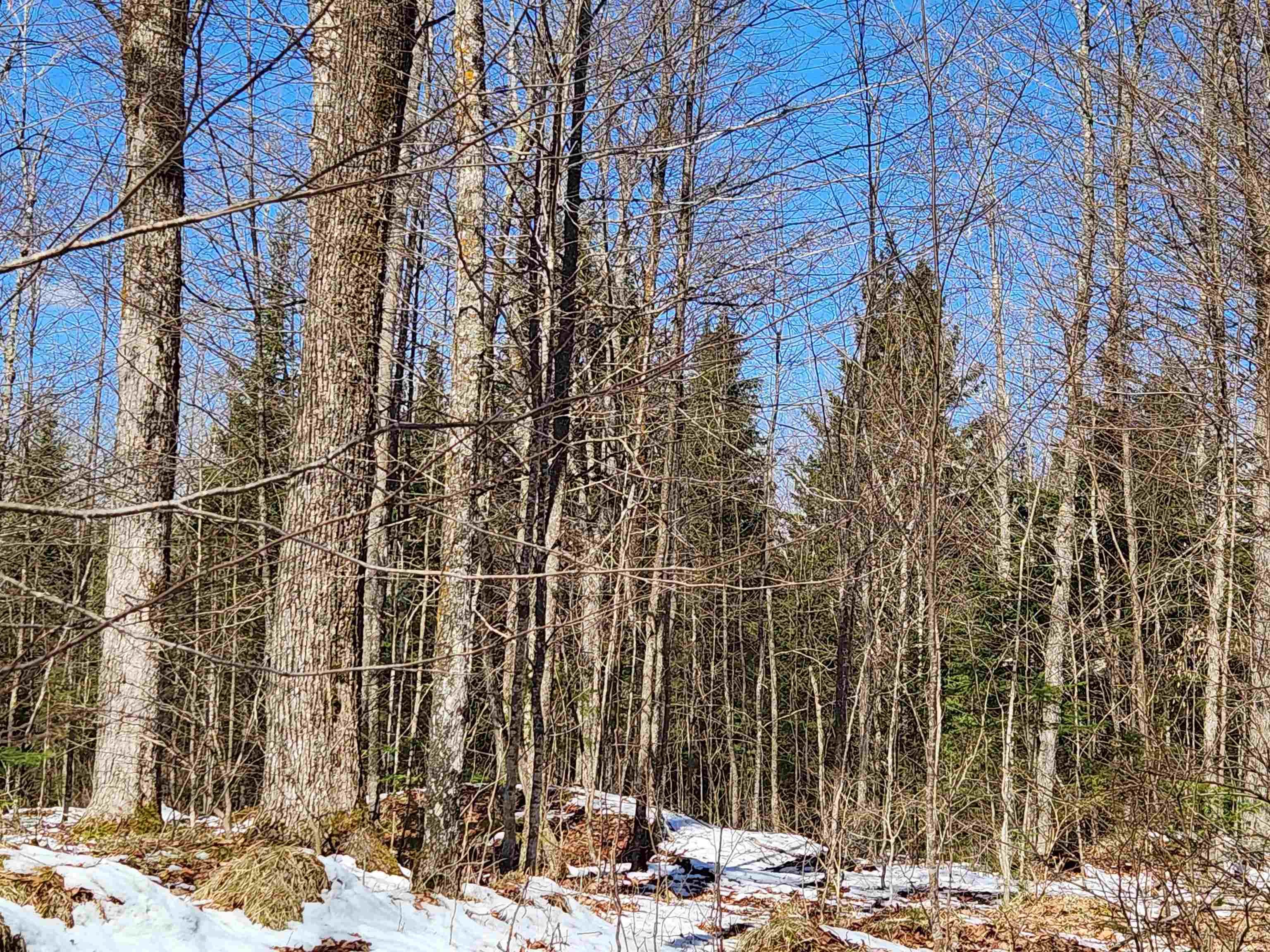 17378 RIGHT OF WAY ROAD, Glidden, Wisconsin 54527, ,Land,For Sale,17378 RIGHT OF WAY ROAD,22501374