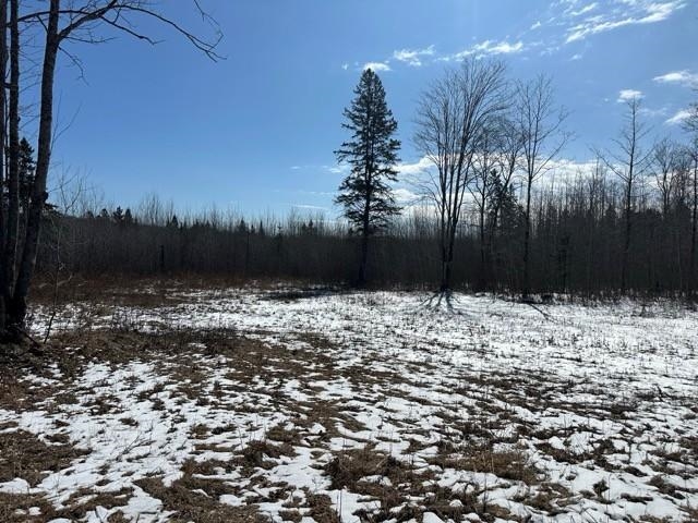 17378 RIGHT OF WAY ROAD, Glidden, Wisconsin 54527, ,Land,For Sale,17378 RIGHT OF WAY ROAD,22501374