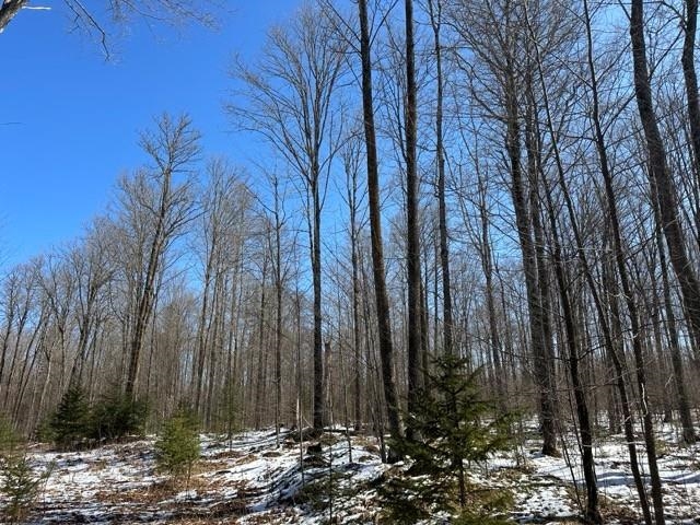 17378 RIGHT OF WAY ROAD, Glidden, Wisconsin 54527, ,Land,For Sale,17378 RIGHT OF WAY ROAD,22501374