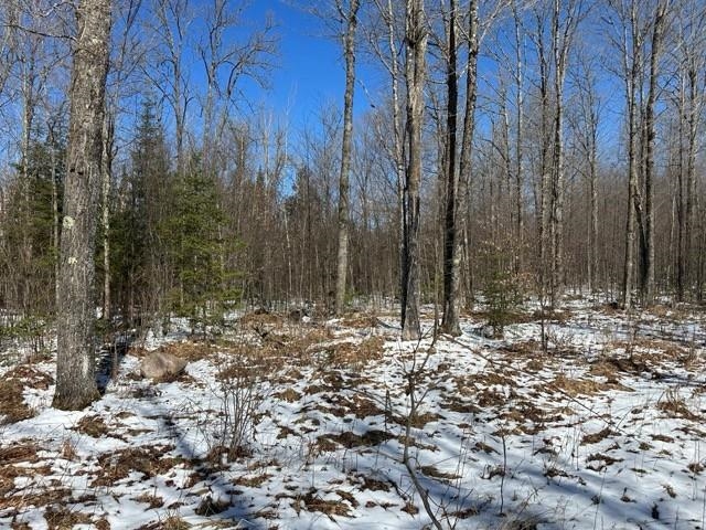 17378 RIGHT OF WAY ROAD, Glidden, Wisconsin 54527, ,Land,For Sale,17378 RIGHT OF WAY ROAD,22501374