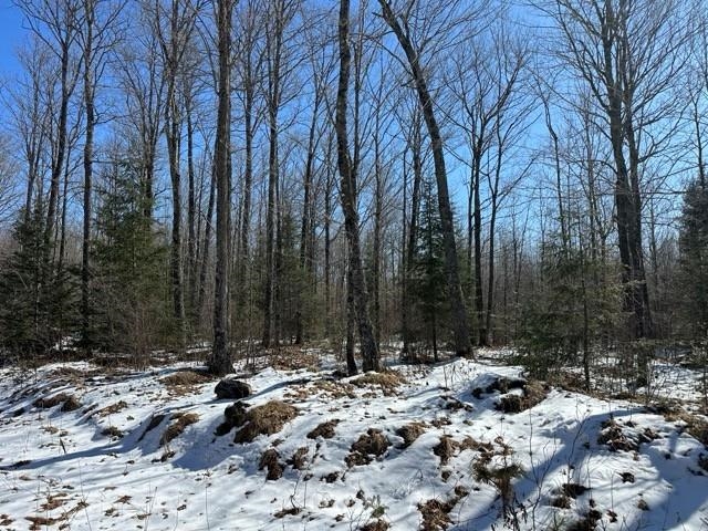 17378 RIGHT OF WAY ROAD, Glidden, Wisconsin 54527, ,Land,For Sale,17378 RIGHT OF WAY ROAD,22501374