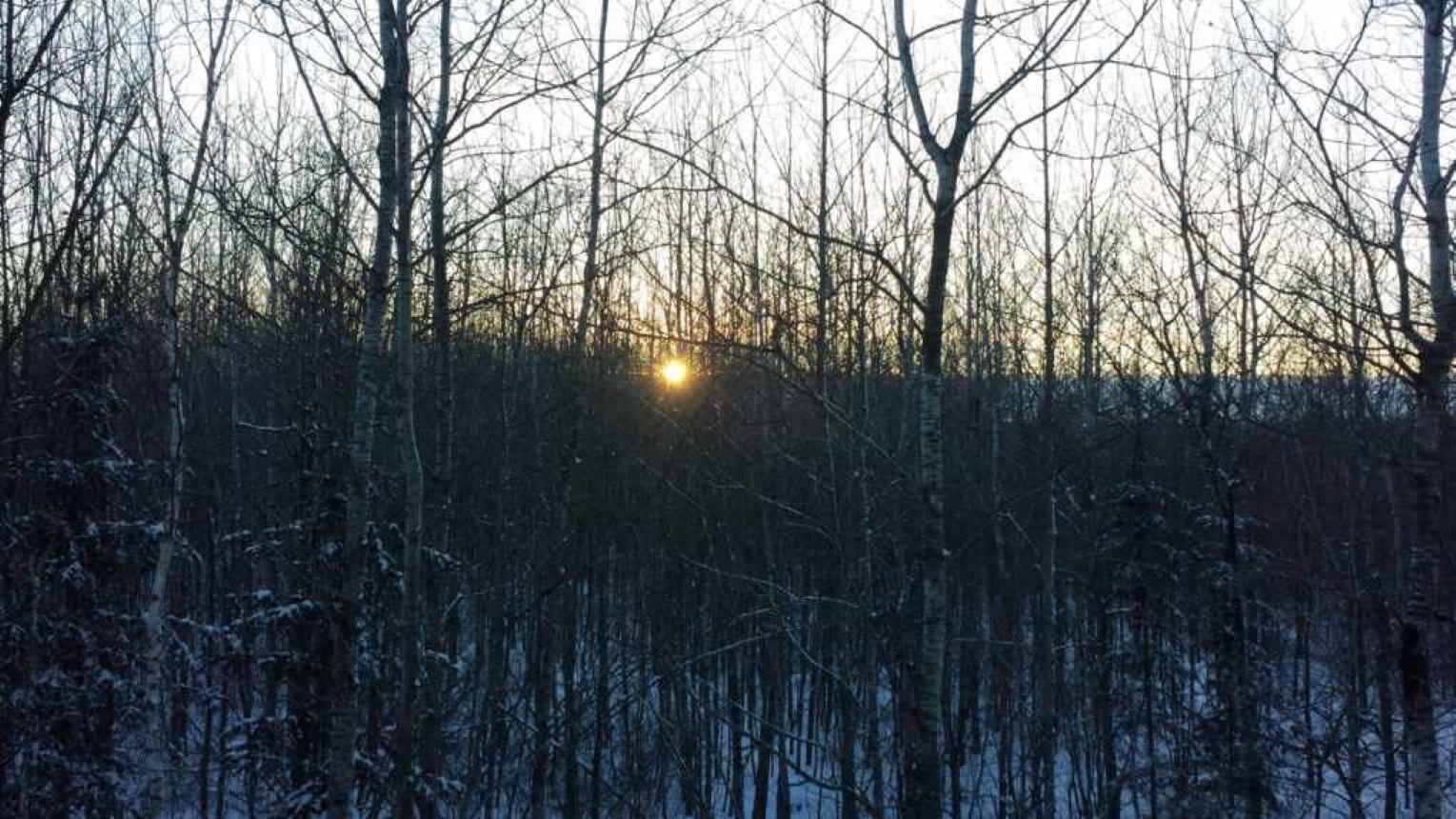17378 RIGHT OF WAY ROAD, Glidden, Wisconsin 54527, ,Land,For Sale,17378 RIGHT OF WAY ROAD,22501374