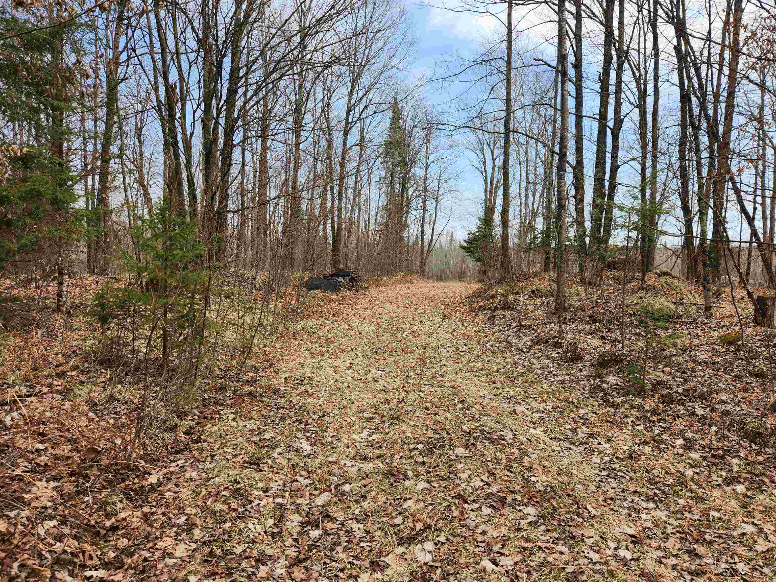 17378 RIGHT OF WAY ROAD, Glidden, Wisconsin 54527, ,Land,For Sale,17378 RIGHT OF WAY ROAD,22501374