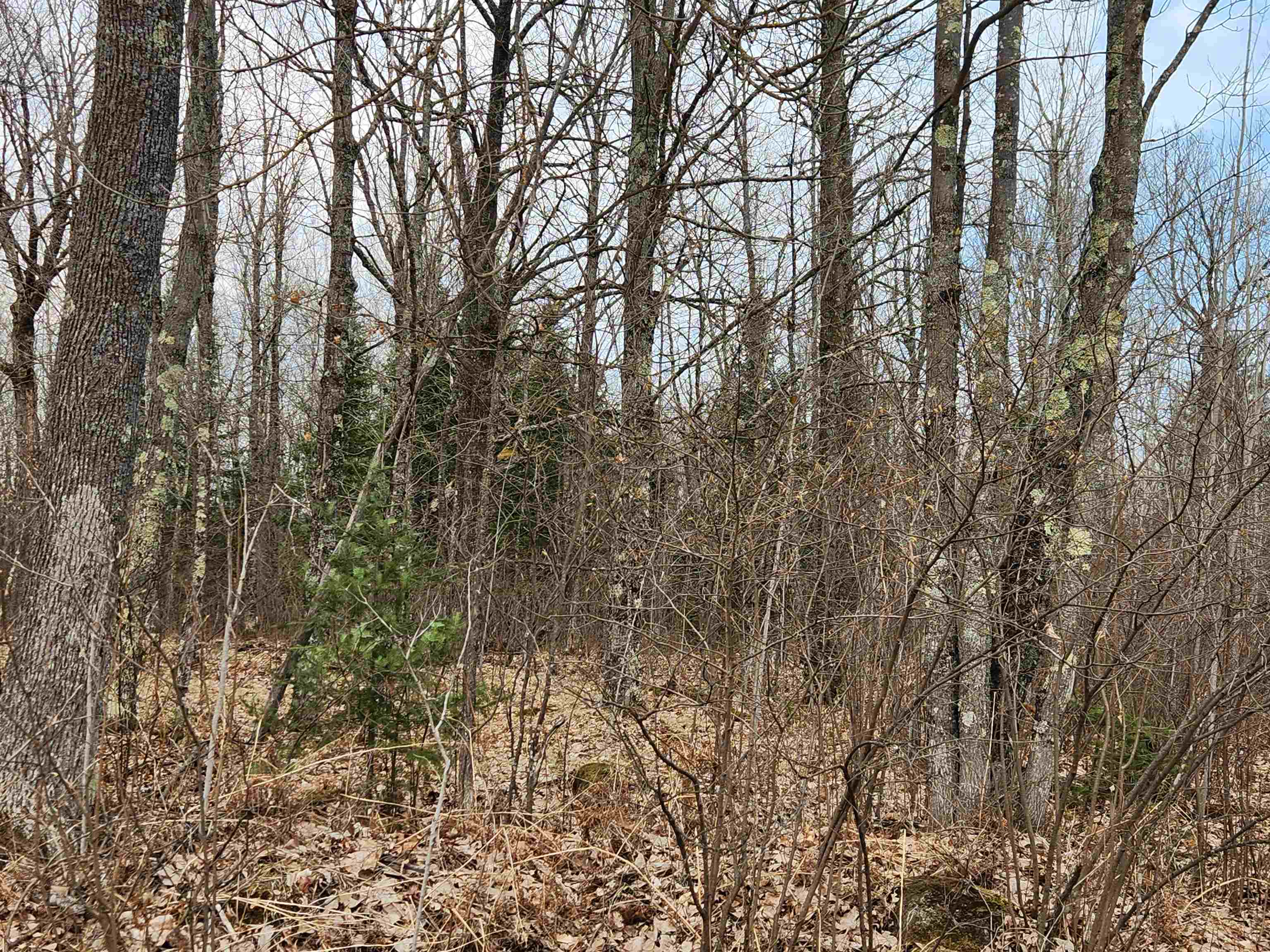 17378 RIGHT OF WAY ROAD, Glidden, Wisconsin 54527, ,Land,For Sale,17378 RIGHT OF WAY ROAD,22501374